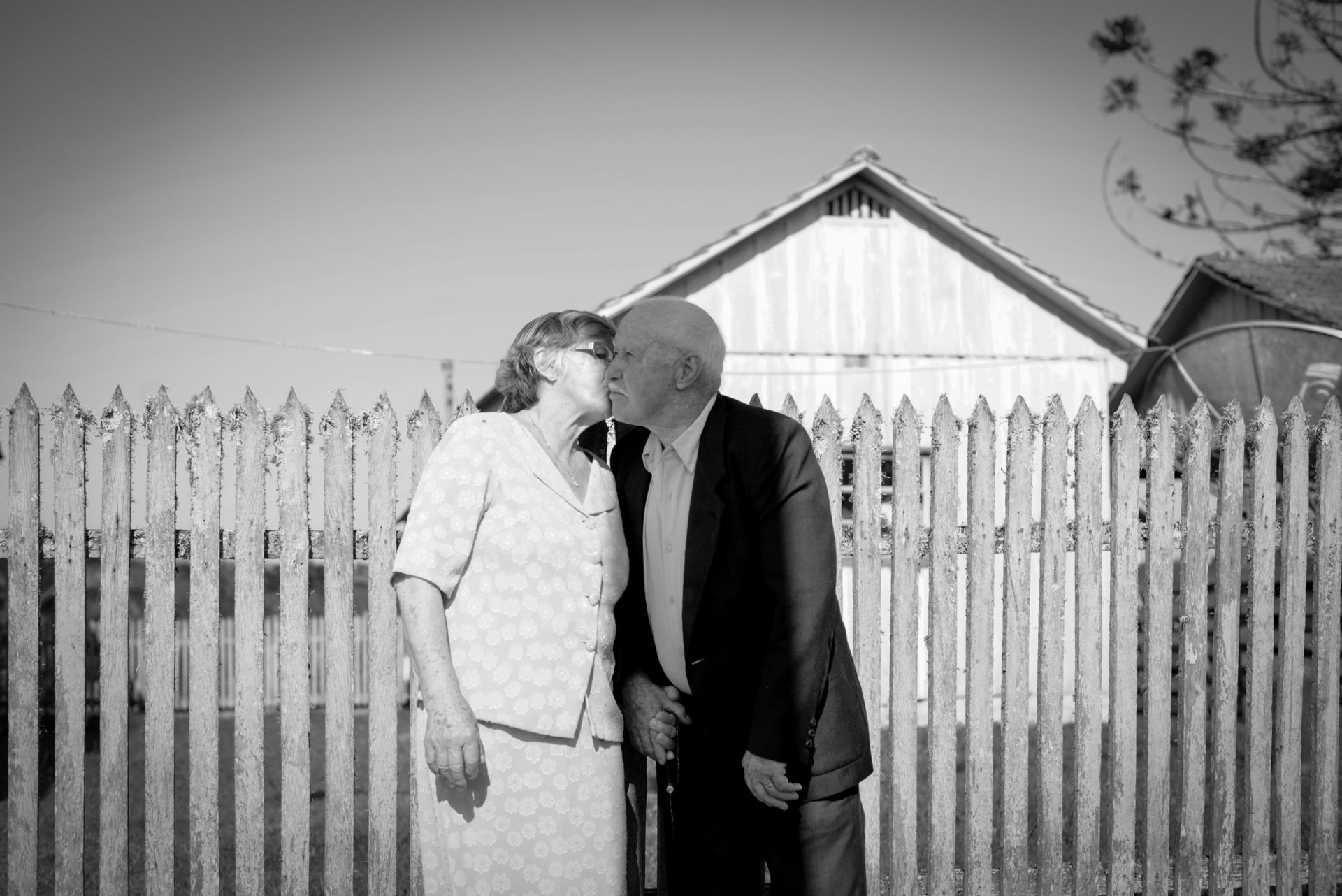 Foto Ensaio Odilon e Terezinha - Imagem 1