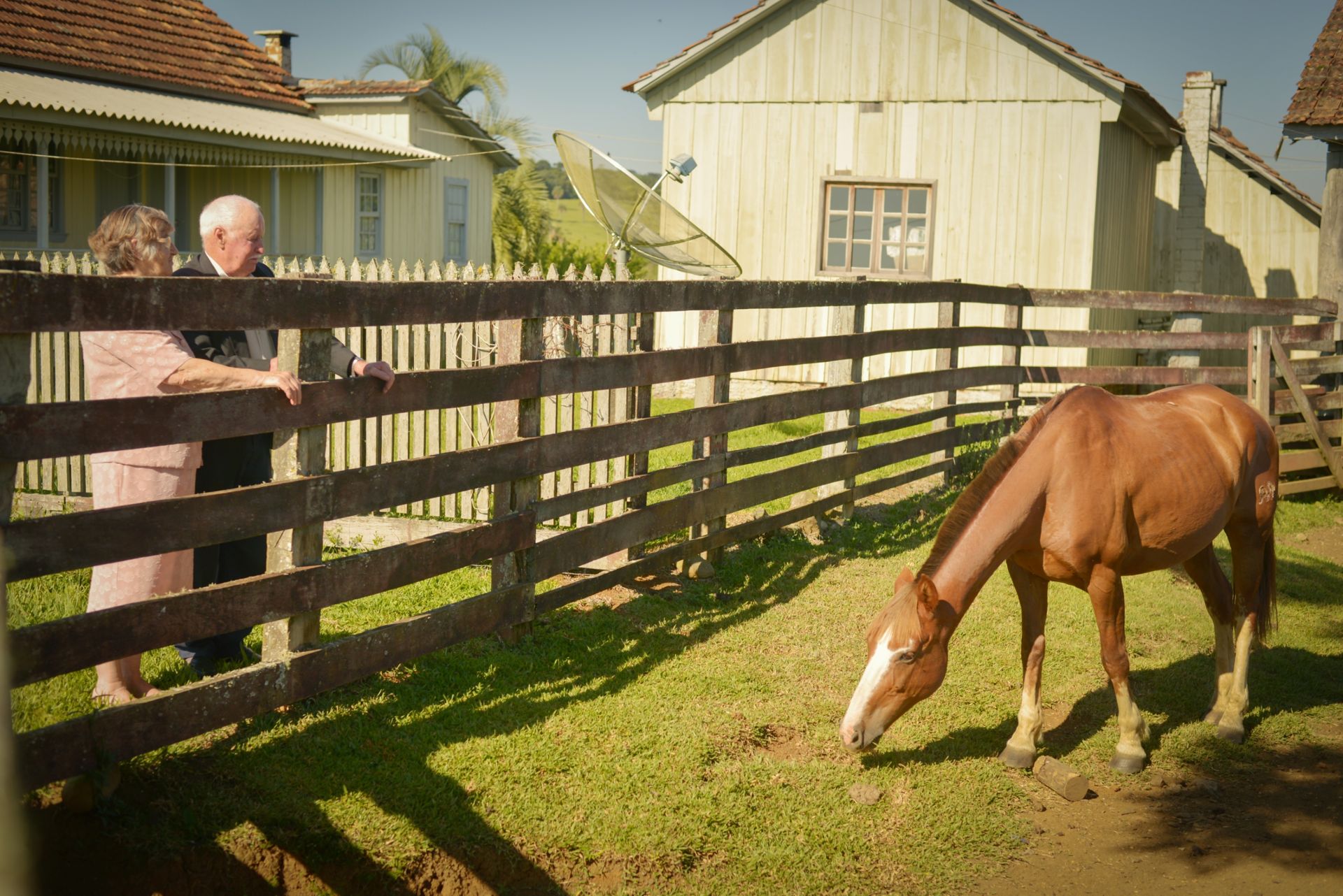 Foto Ensaio Odilon e Terezinha - Imagem 2