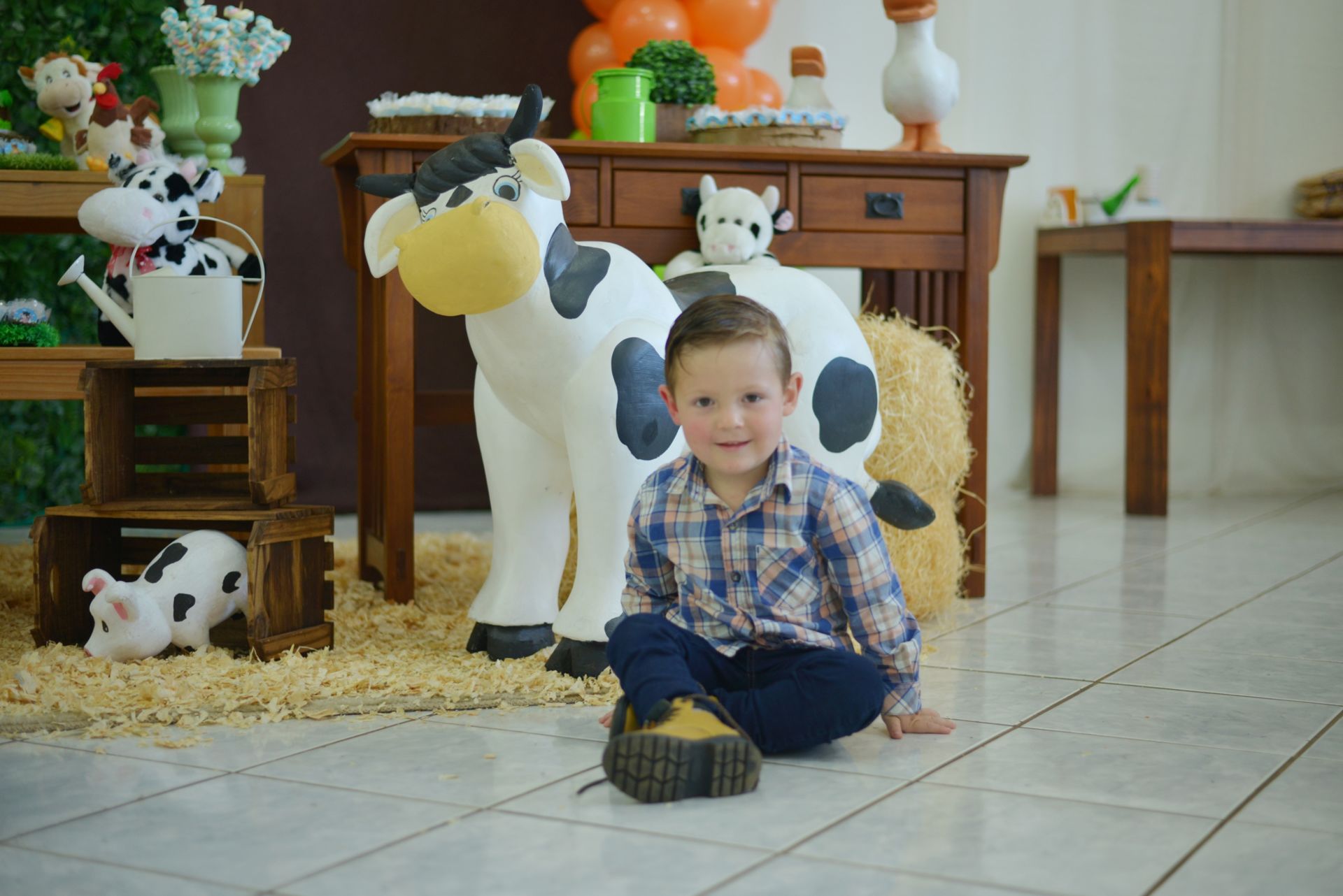 Foto Fazendinha do Francisco - Imagem 1