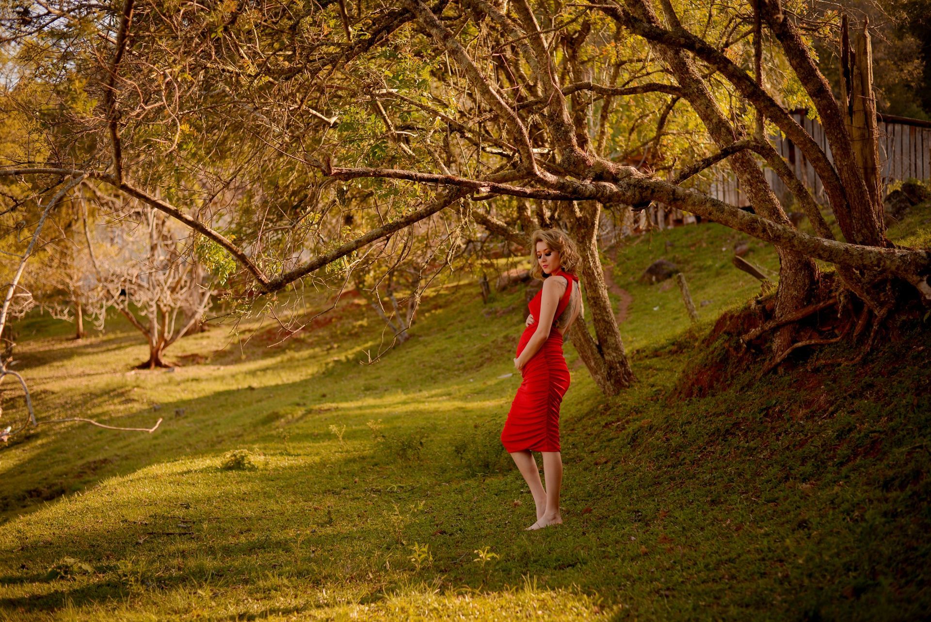 Foto Mauricio & Caroline - Imagem 7