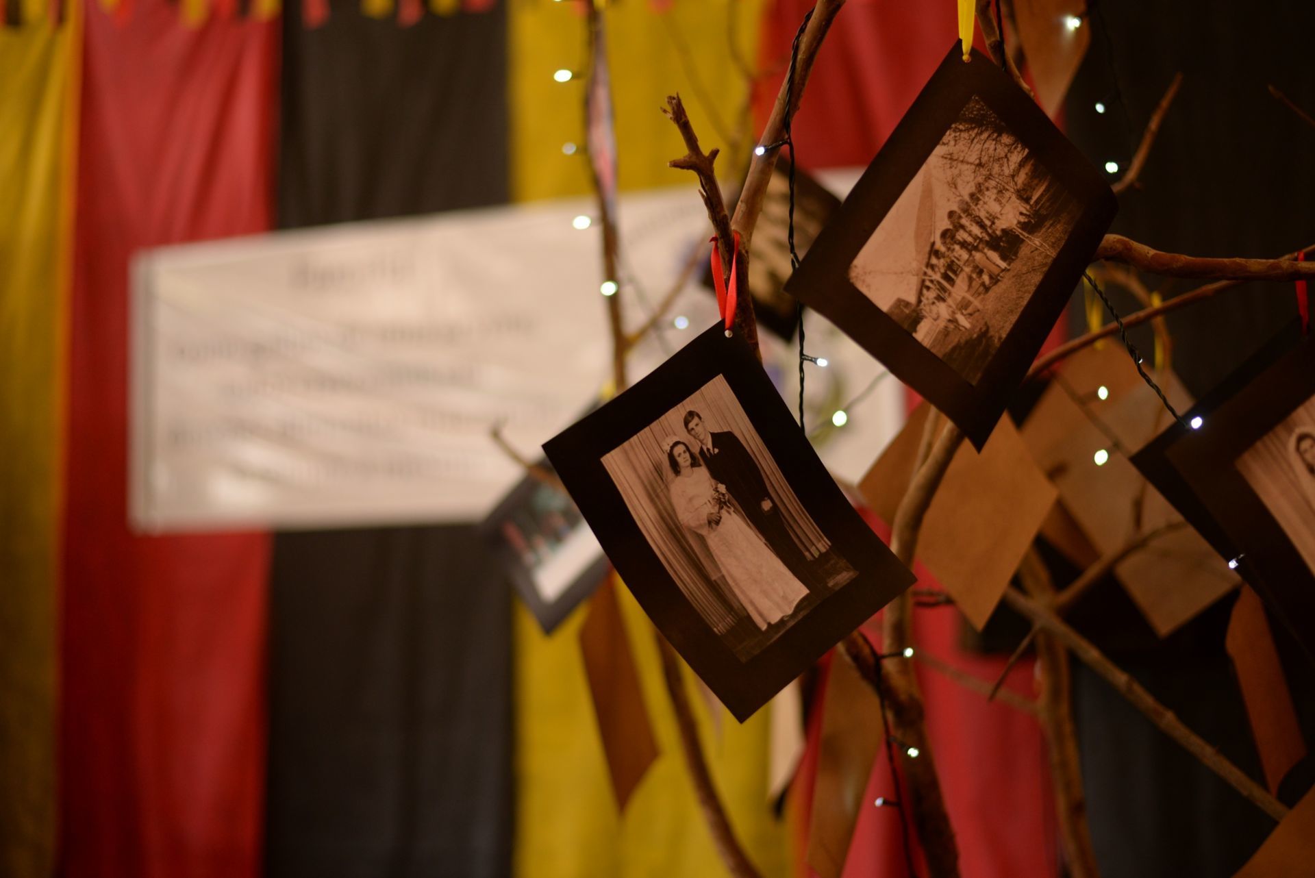 Foto Sobre ser Debus - Imagem 1