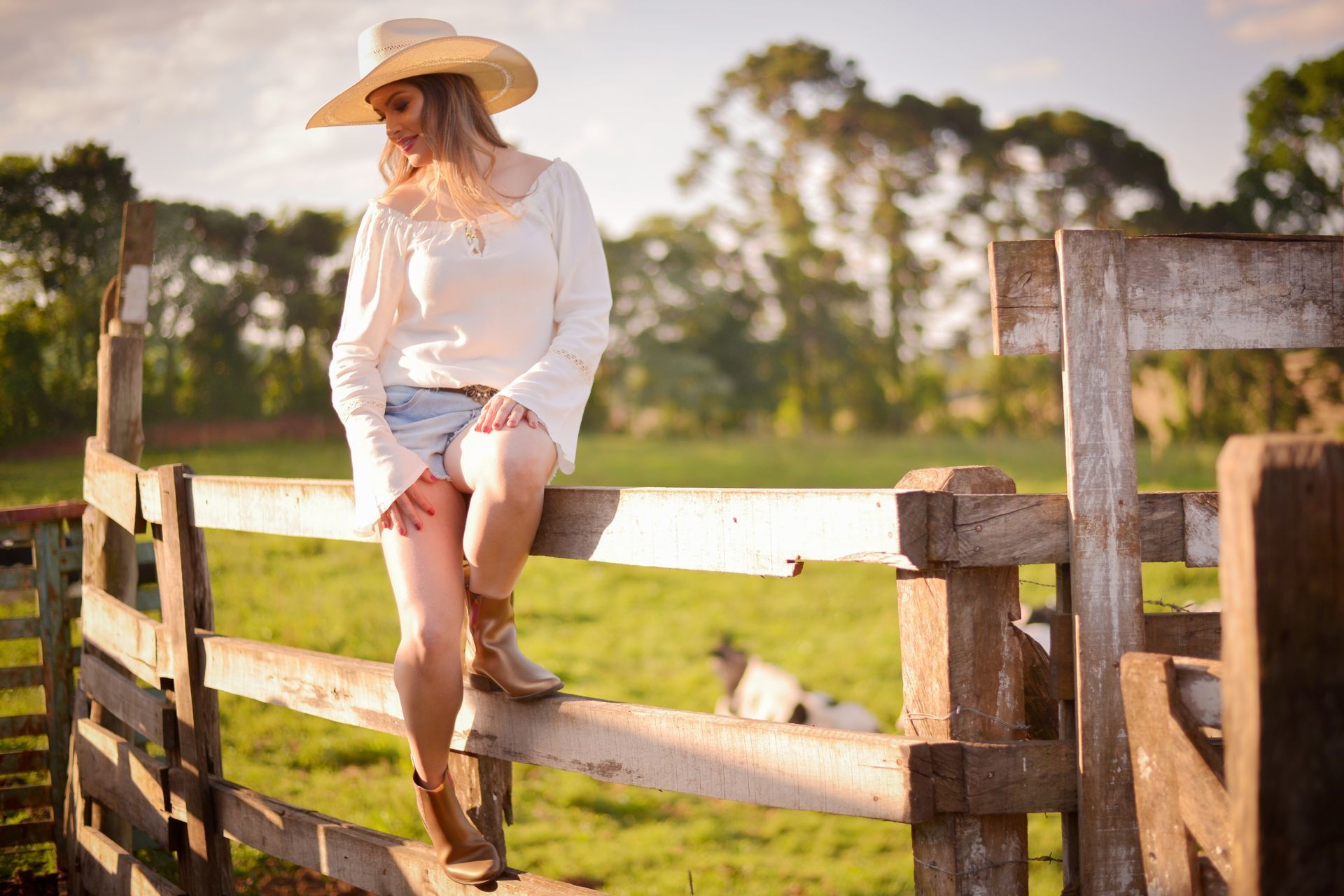 Foto Renata Meireles: Um ensaio especial - Imagem 2