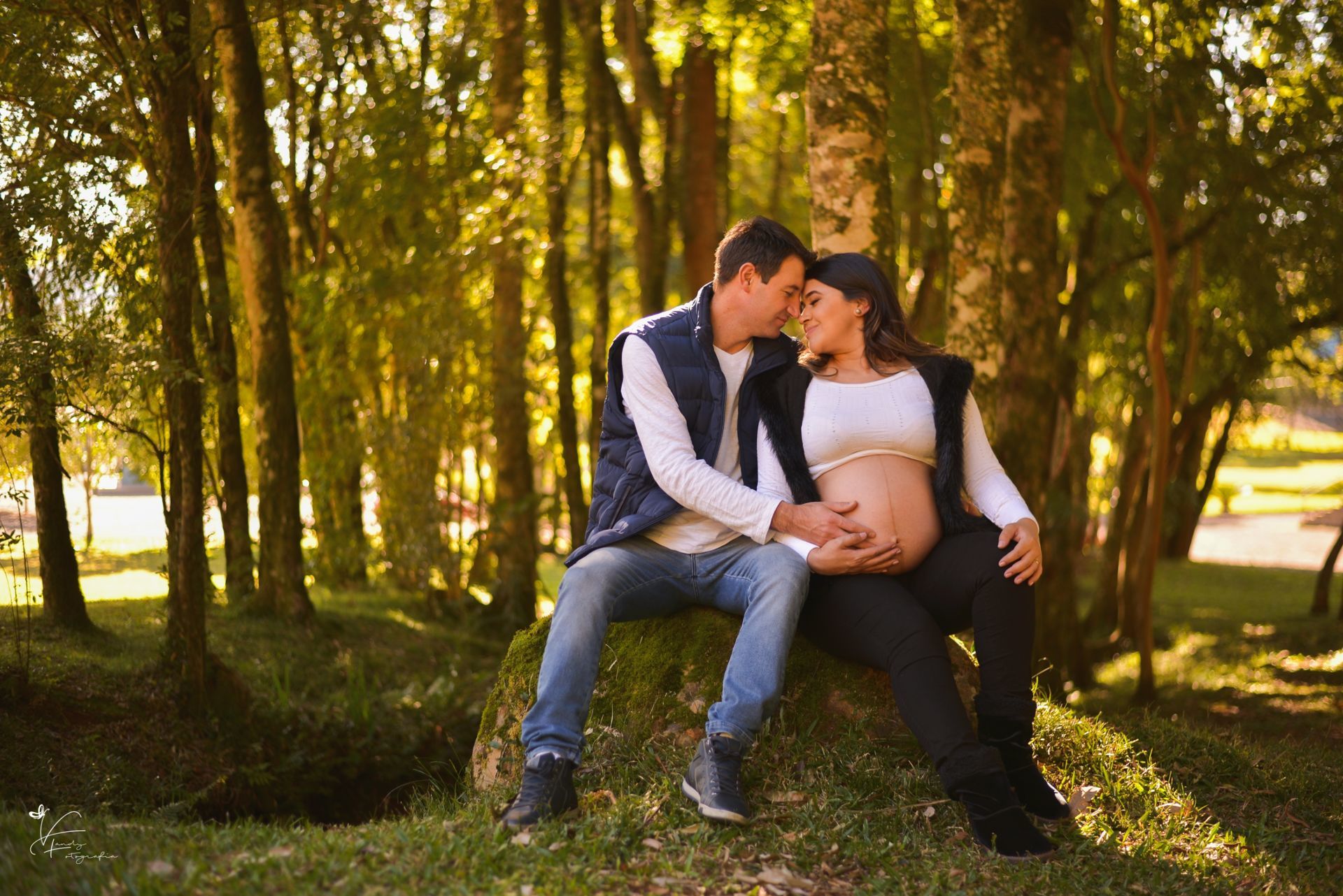 Foto Sessão: Espera da pequena Lívia - Imagem 2