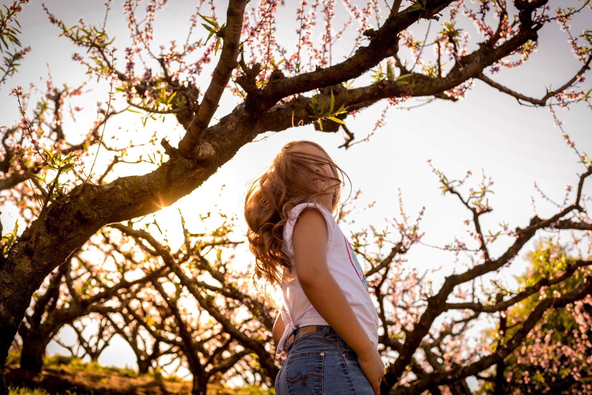 Foto Sessão: Isadora Guedes de Andrade - Imagem 1