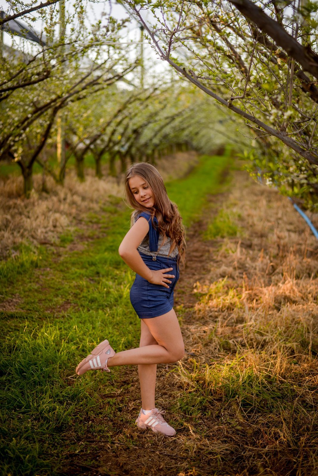 Foto Sessão: Isadora Guedes de Andrade - Imagem 12