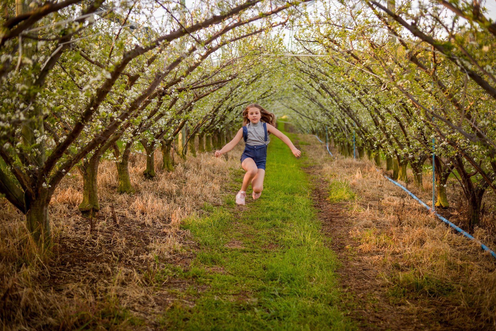 Foto Sessão: Isadora Guedes de Andrade - Imagem 11