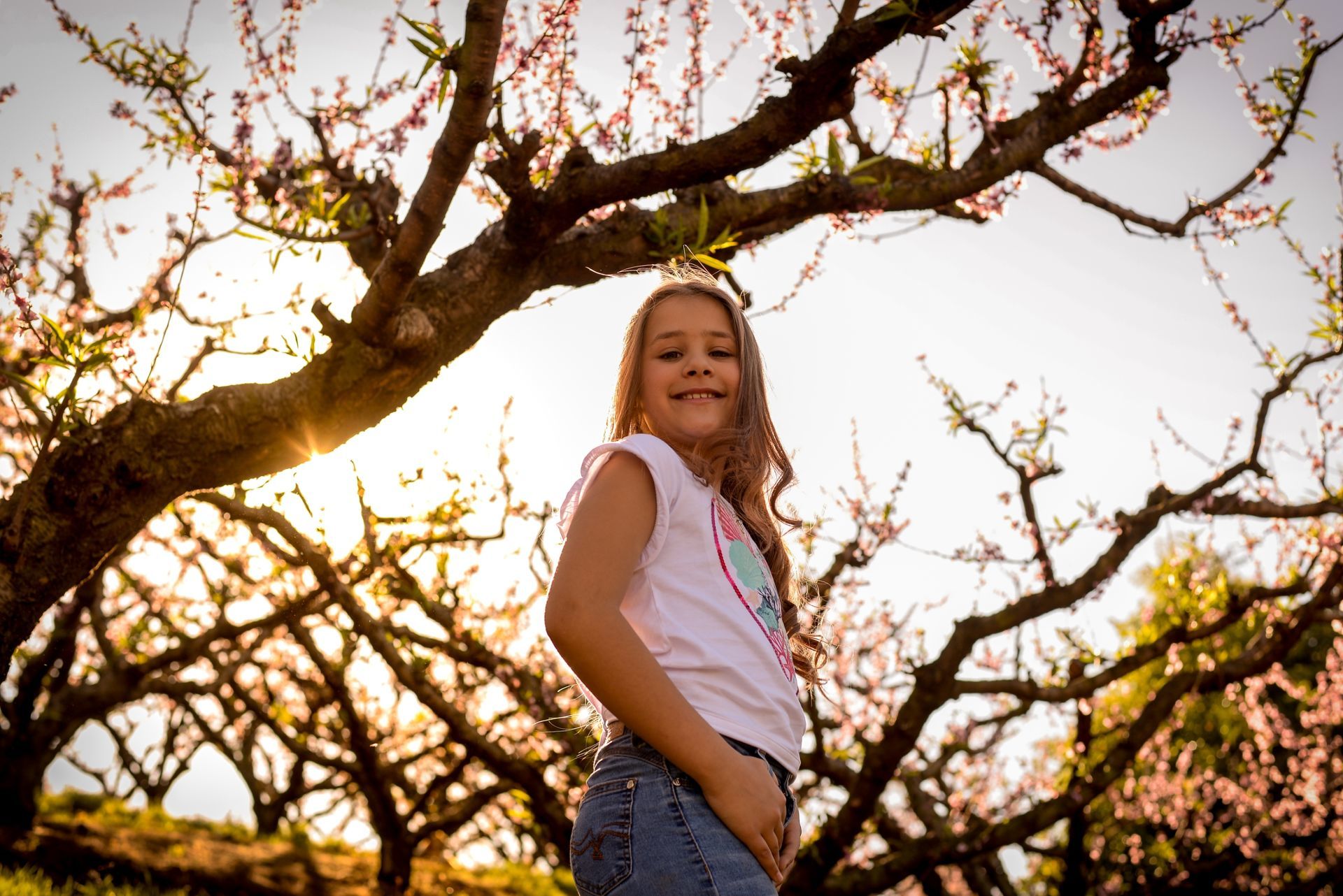 Foto Sessão: Isadora Guedes de Andrade - Imagem 2
