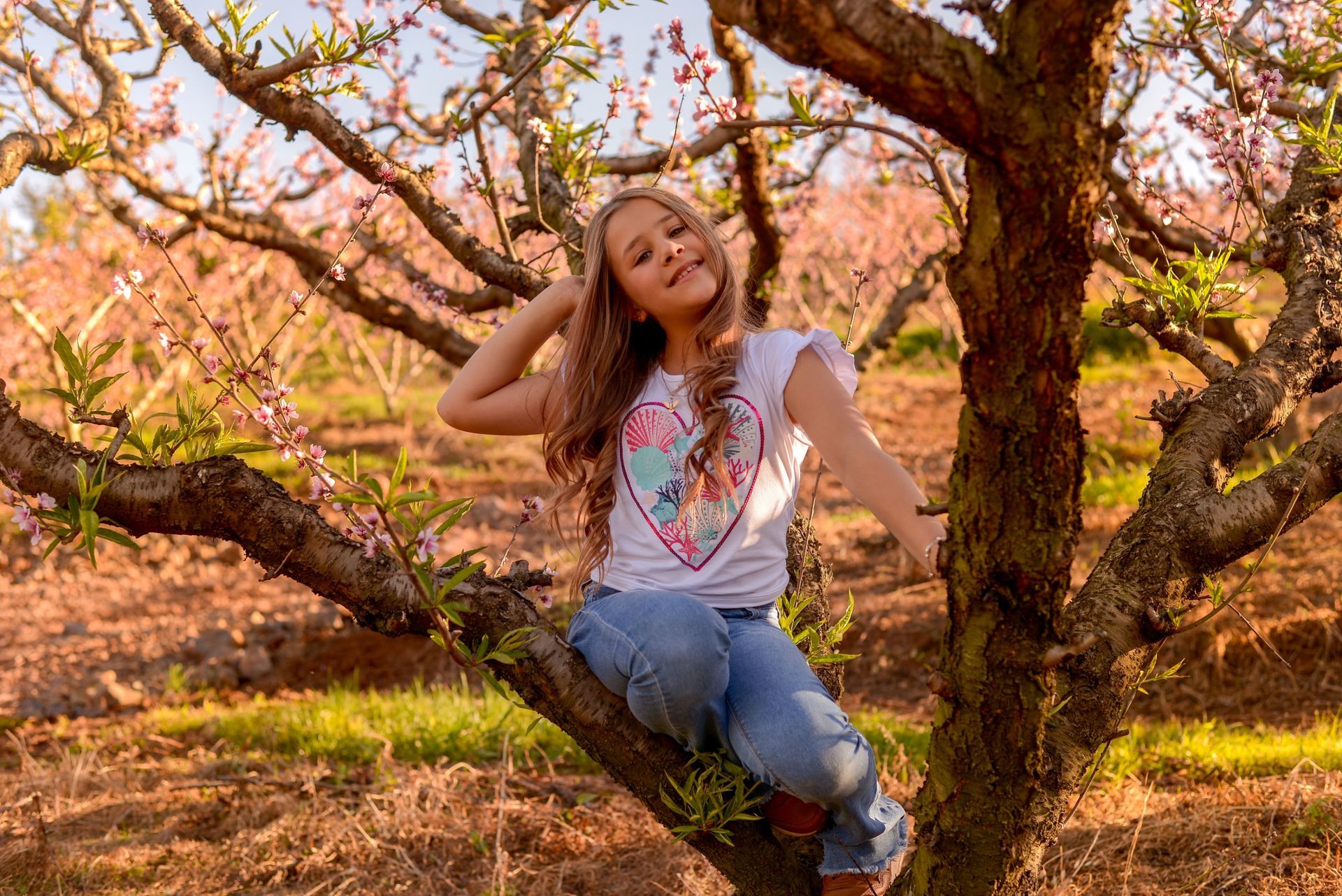 Foto Sessão: Isadora Guedes de Andrade - Imagem 4