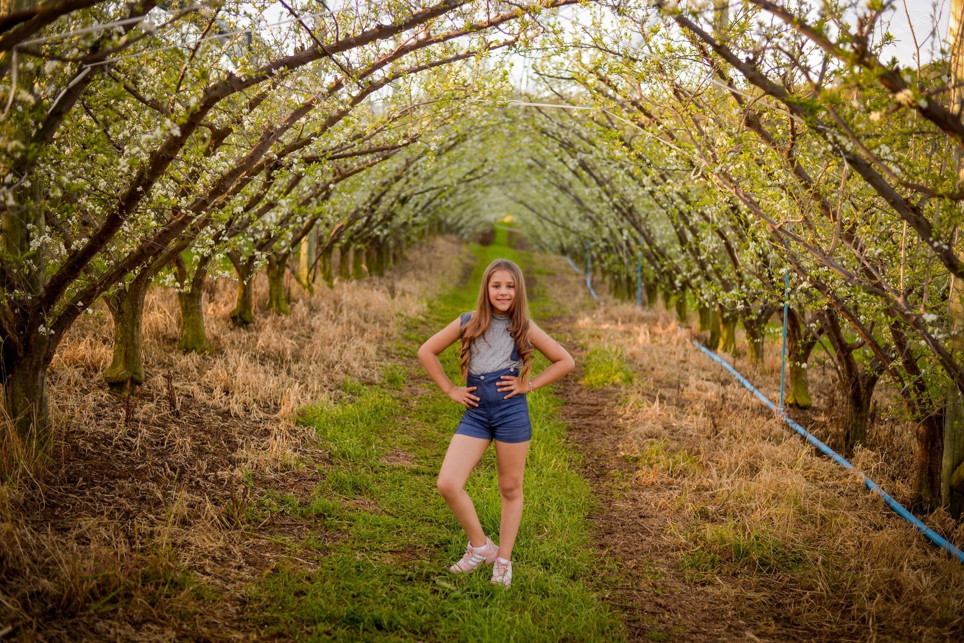 Foto Sessão: Isadora Guedes de Andrade - Imagem 10