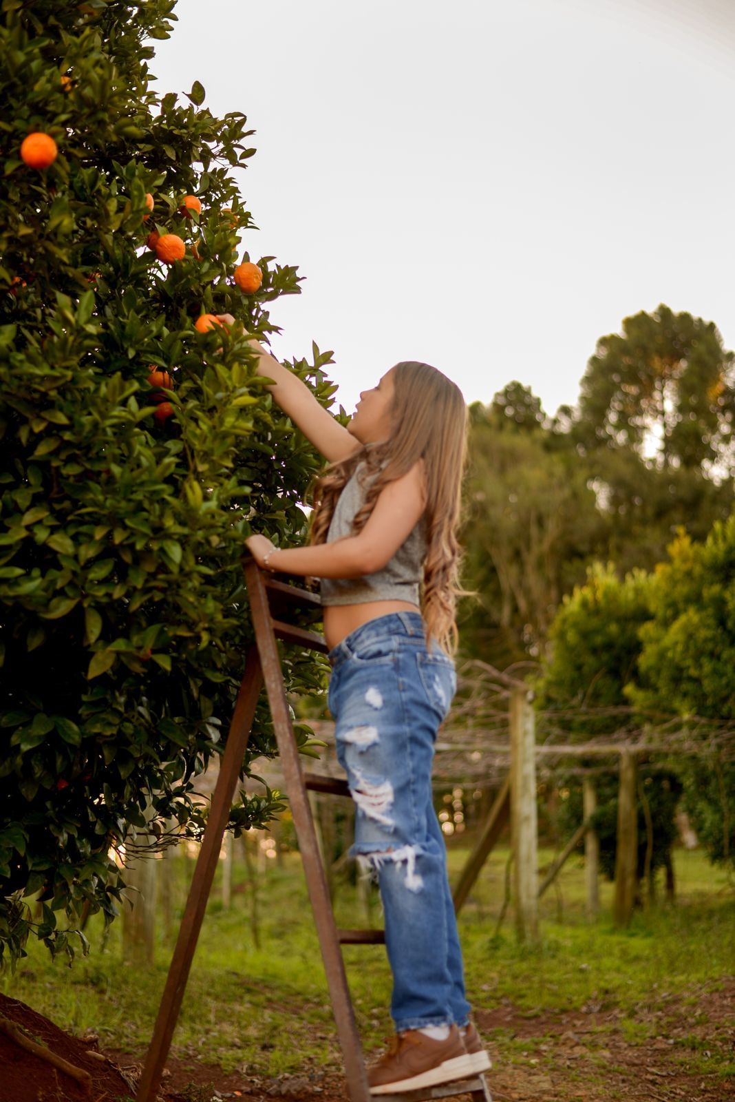 Foto Sessão: Isadora Guedes de Andrade - Imagem 21