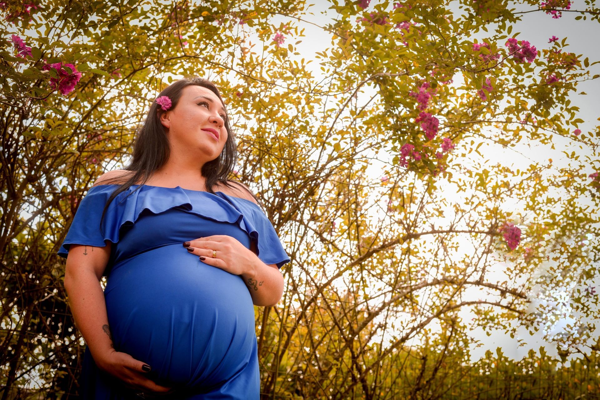 Foto A Espera da Aurora - Imagem 0