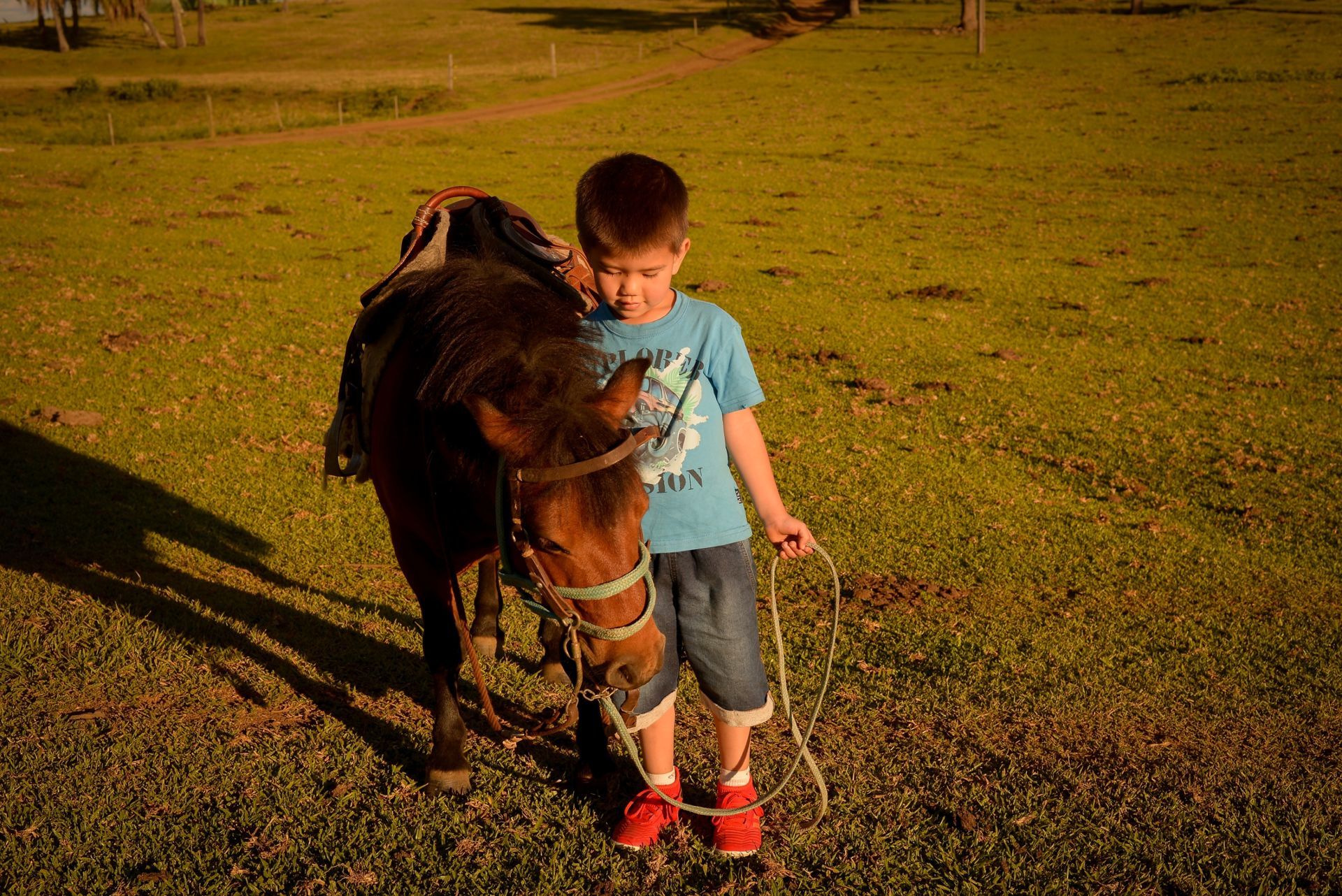 Foto Life Style: Família  - Imagem 6