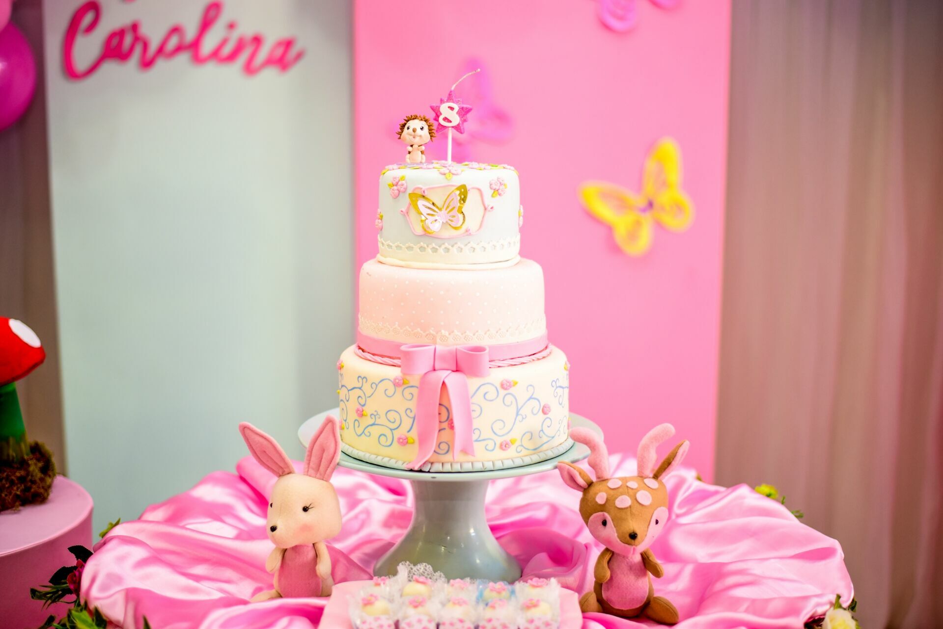 Foto Aniversario Infantil: Ana Carolina - Imagem 1