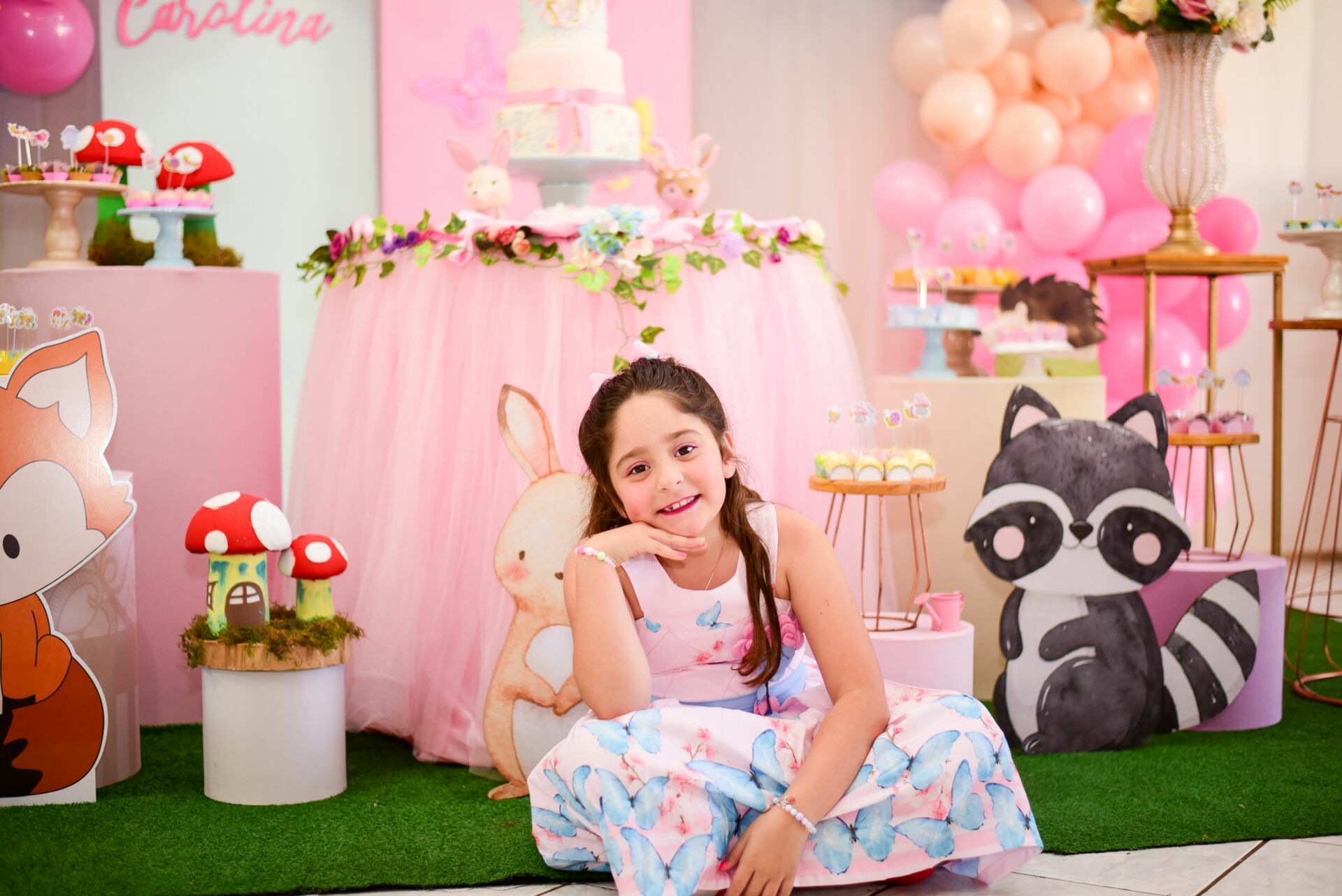 Foto Aniversario Infantil: Ana Carolina - Imagem 4