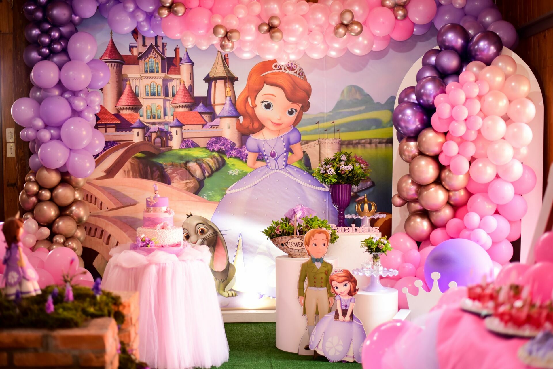 Foto Aniversário Infantil: Sophia - Imagem 1