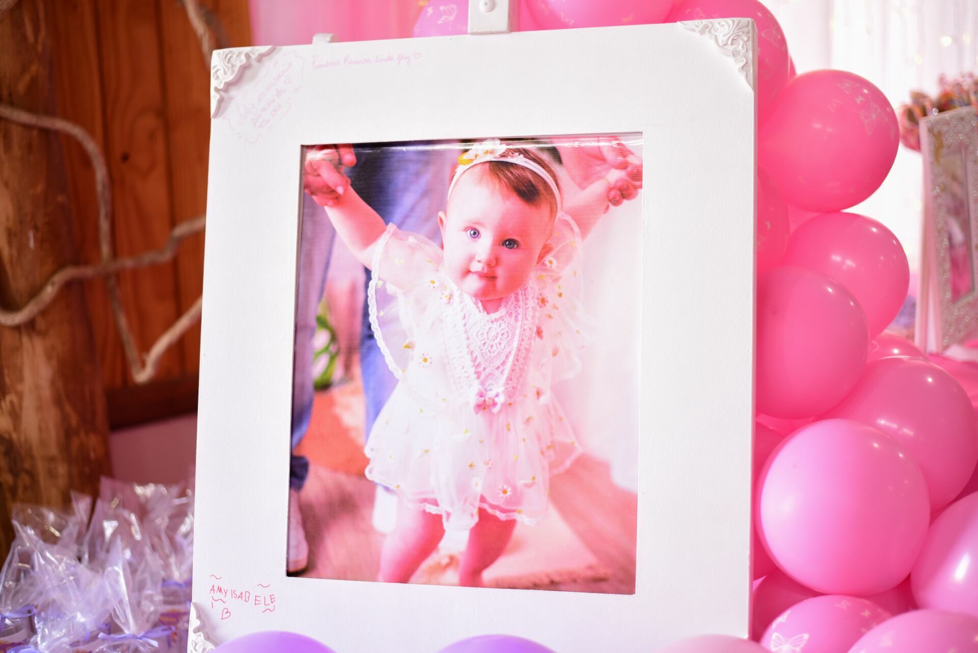 Foto Aniversário Infantil: Sophia - Imagem 5