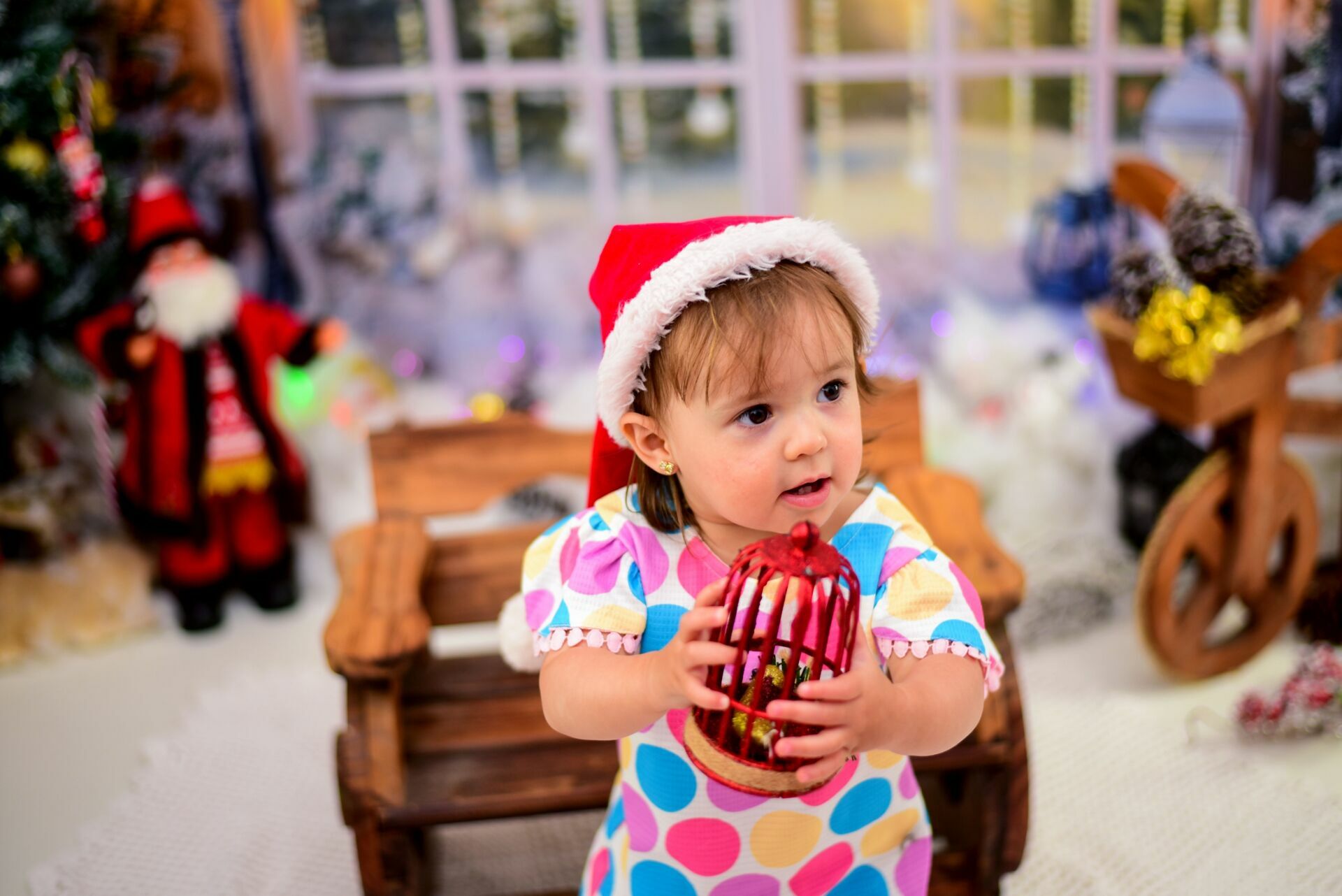 Foto Especial de Natal 2022 - Imagem 0