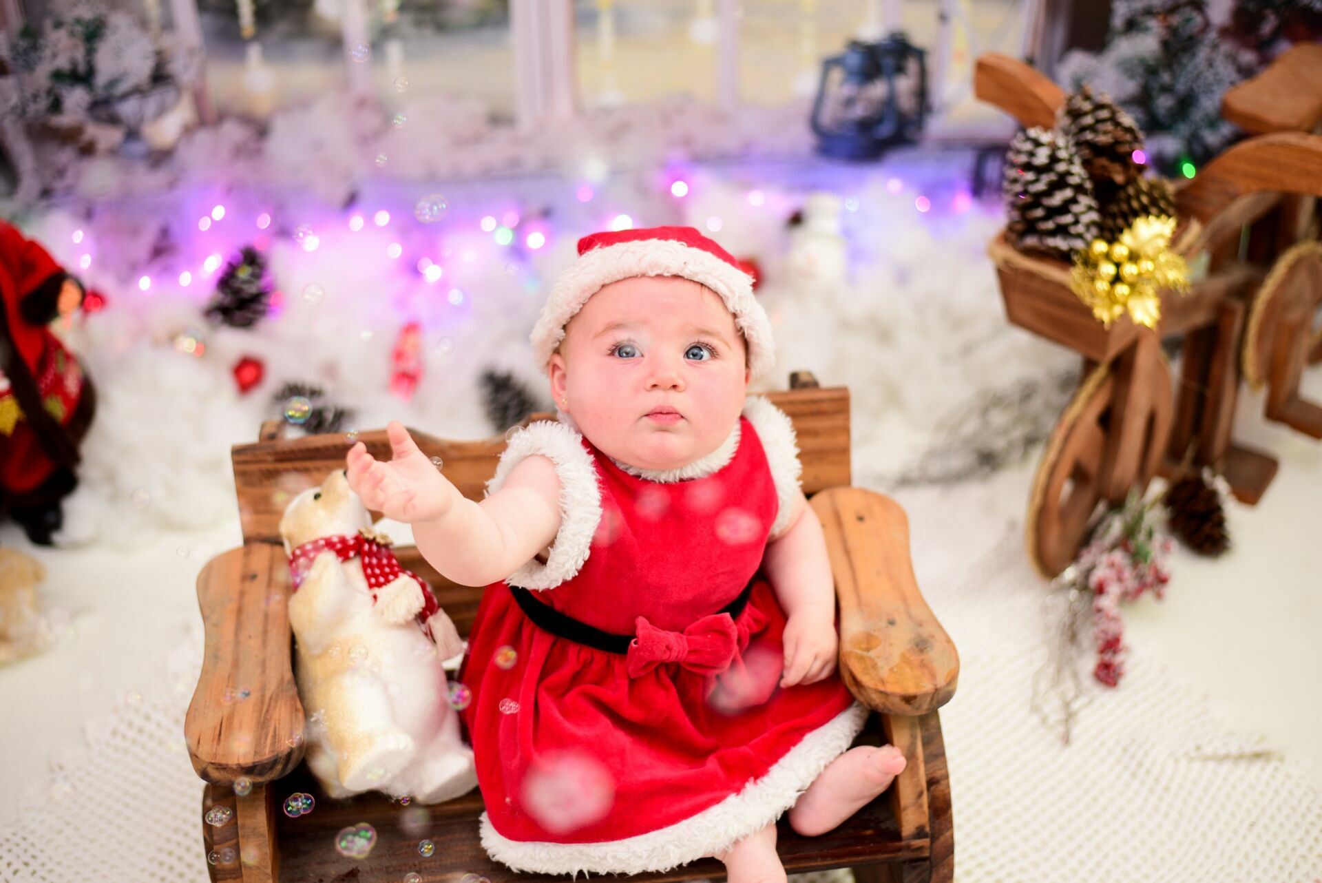 Foto Especial de Natal 2022 - Imagem 55