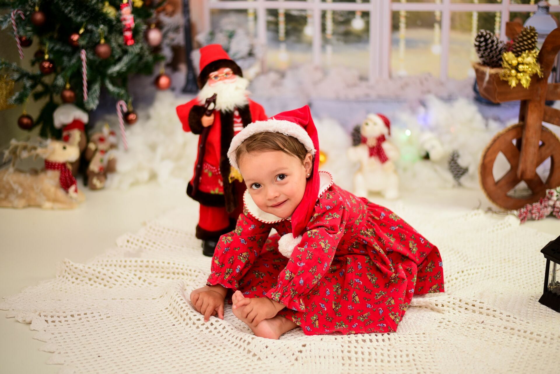 Foto Especial de Natal 2022 - Imagem 43