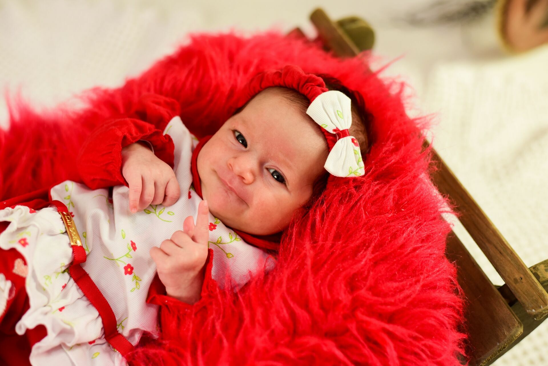 Foto Especial de Natal 2022 - Imagem 79