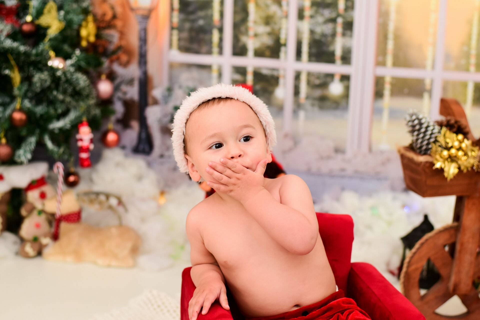 Foto Especial de Natal 2022 - Imagem 26