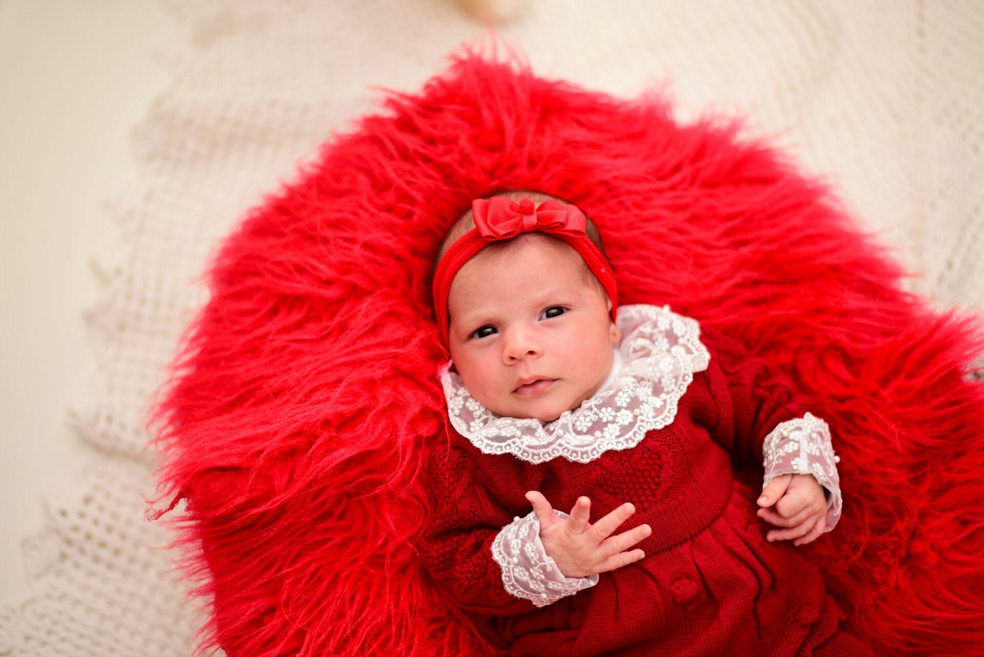 Foto Especial de Natal 2022 - Imagem 63