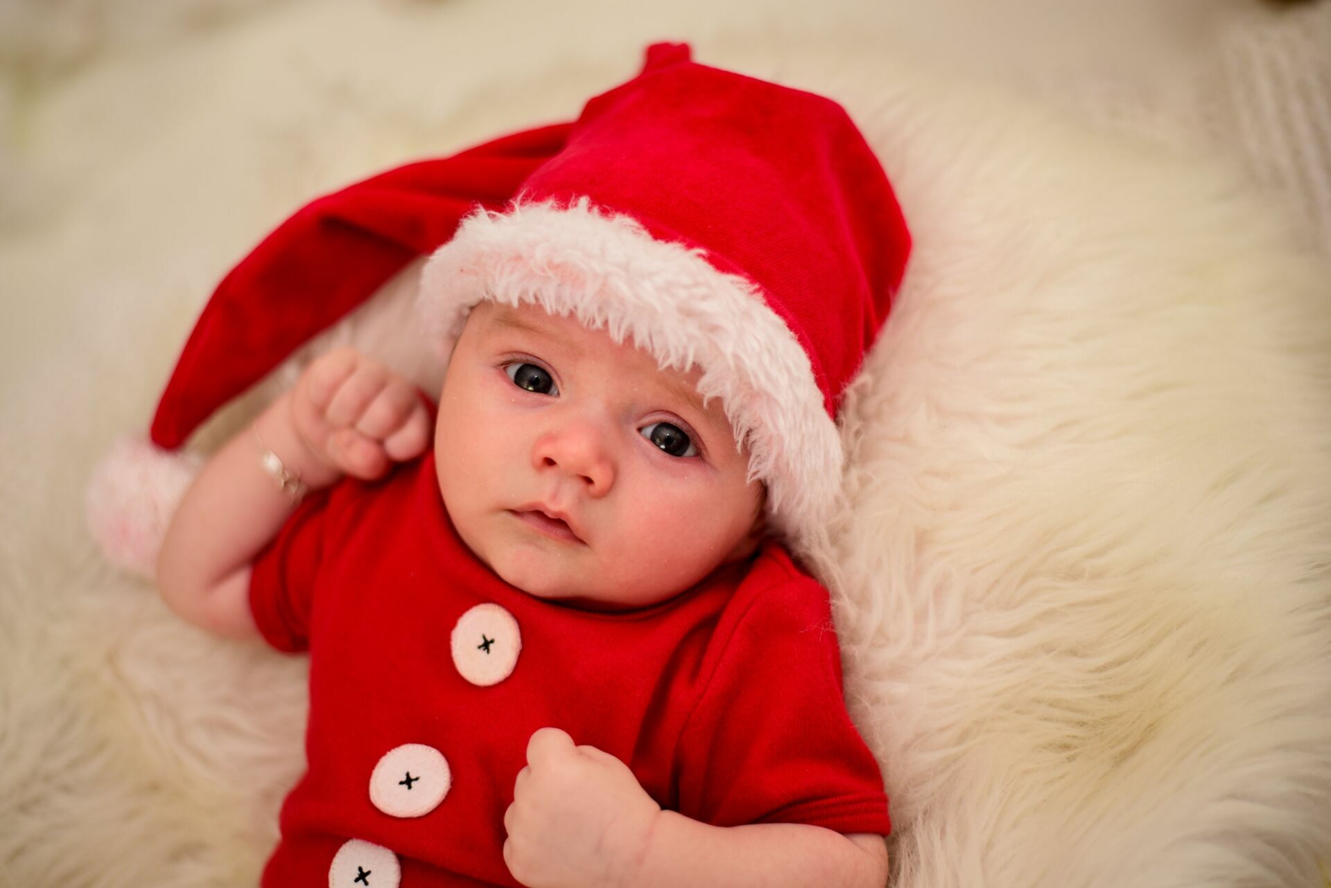 Foto Especial de Natal 2022 - Imagem 72