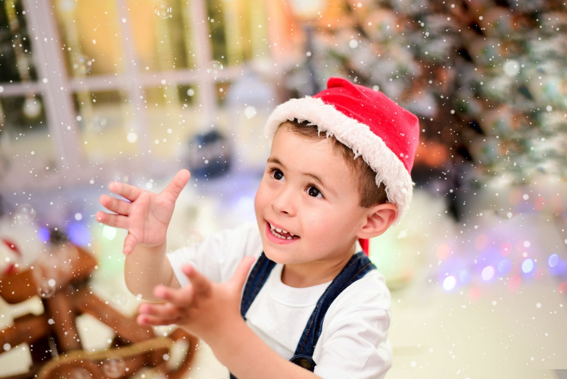 Foto Especial de Natal 2022 - Imagem 40