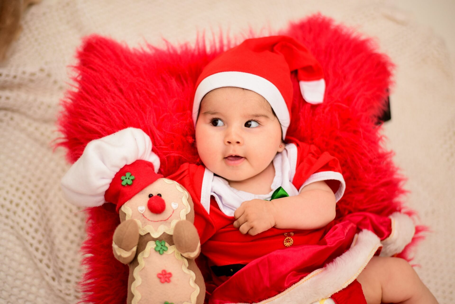 Foto Especial de Natal 2022 - Imagem 70