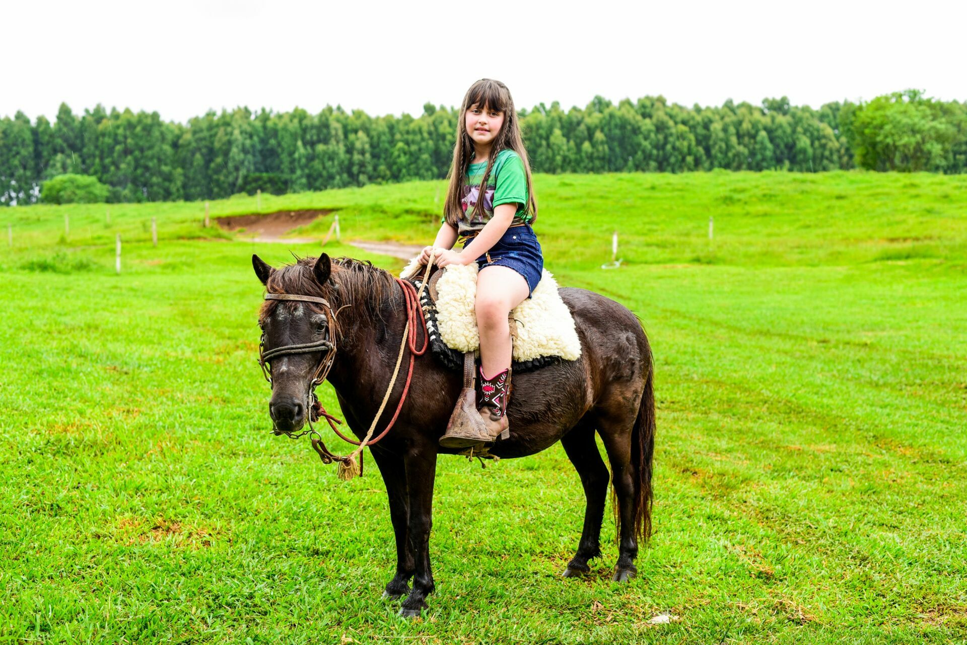 Foto Aniversario Infantil: Ana Julia - Imagem 0