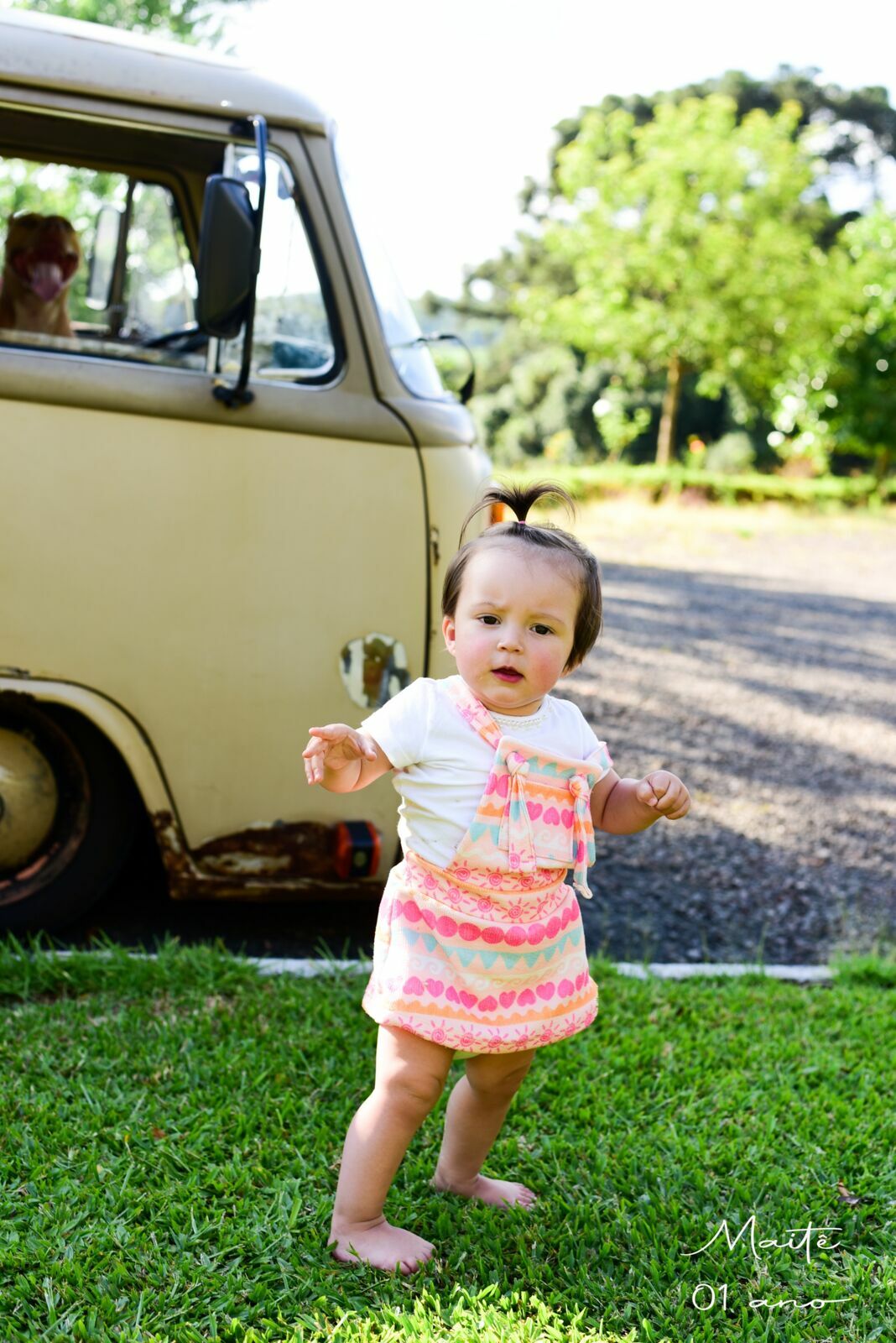 Foto Smash The Cake: Maitê - Imagem 0