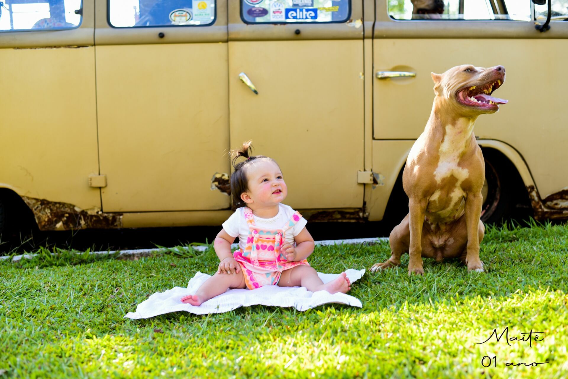 Foto Smash The Cake: Maitê - Imagem 6