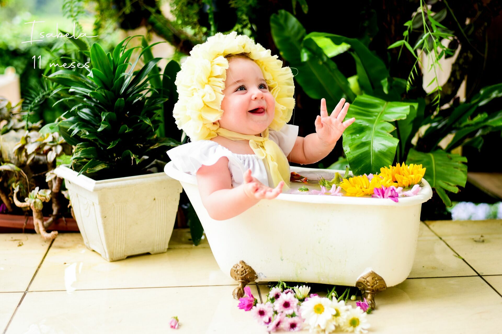 Foto Ensaio Infantil: Isabela  - Imagem 3