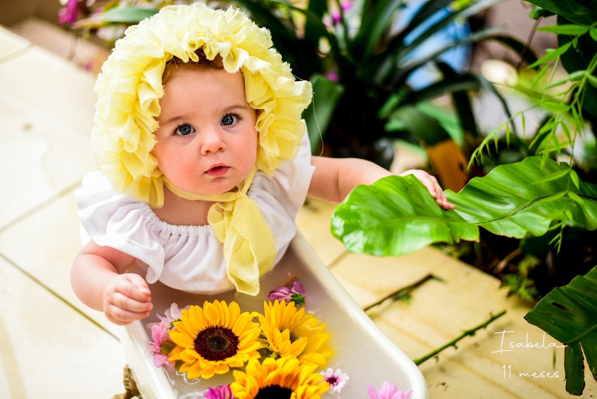 Foto Ensaio Infantil: Isabela  - Imagem 2