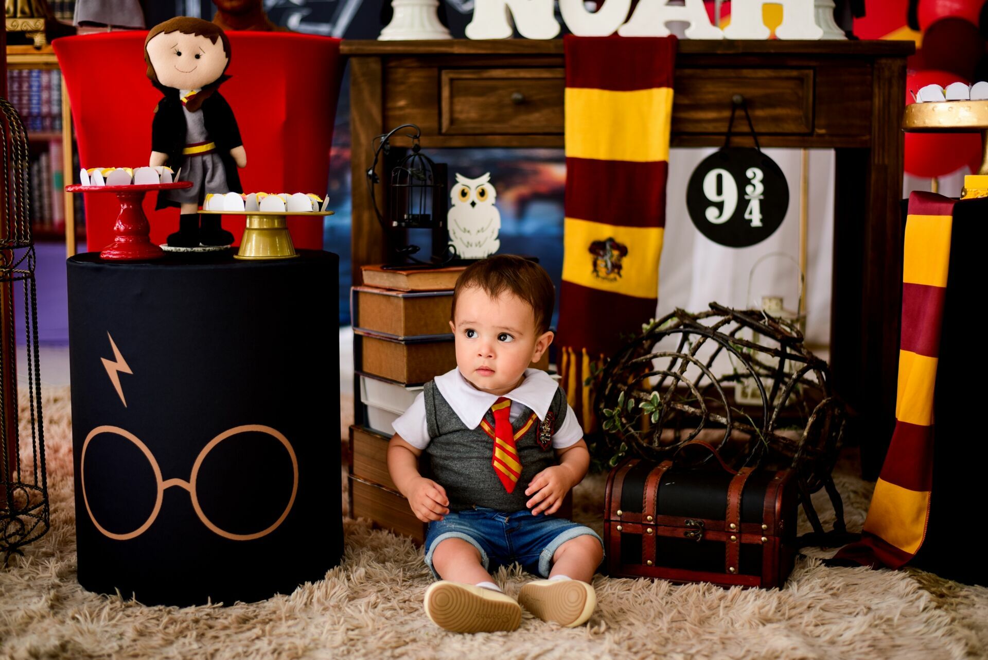 Foto Festa Infantil: Noah - Imagem 4