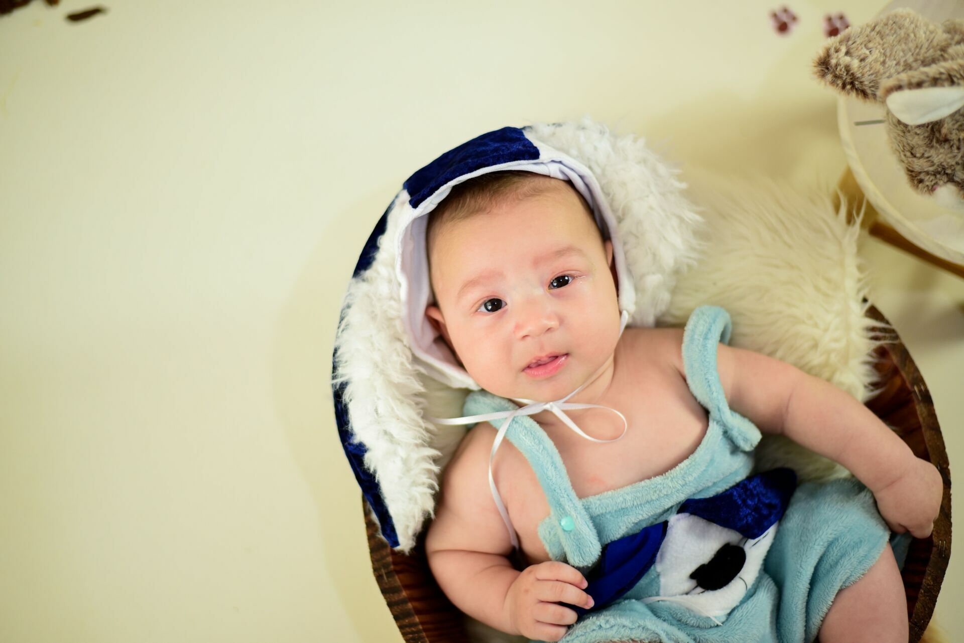 Foto Páscoa 2023 - Imagem 30