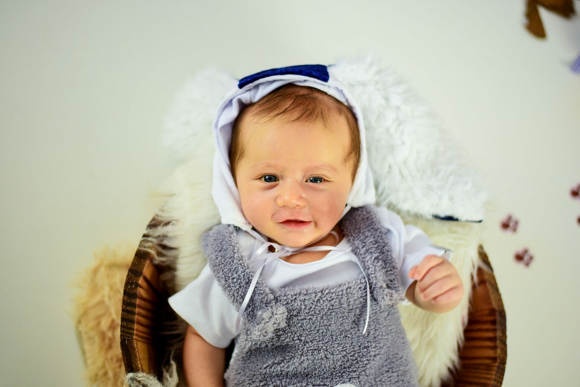 Foto Páscoa 2023 - Imagem 37