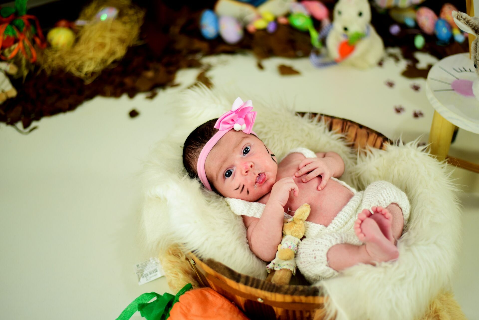 Foto Páscoa 2023 - Imagem 55