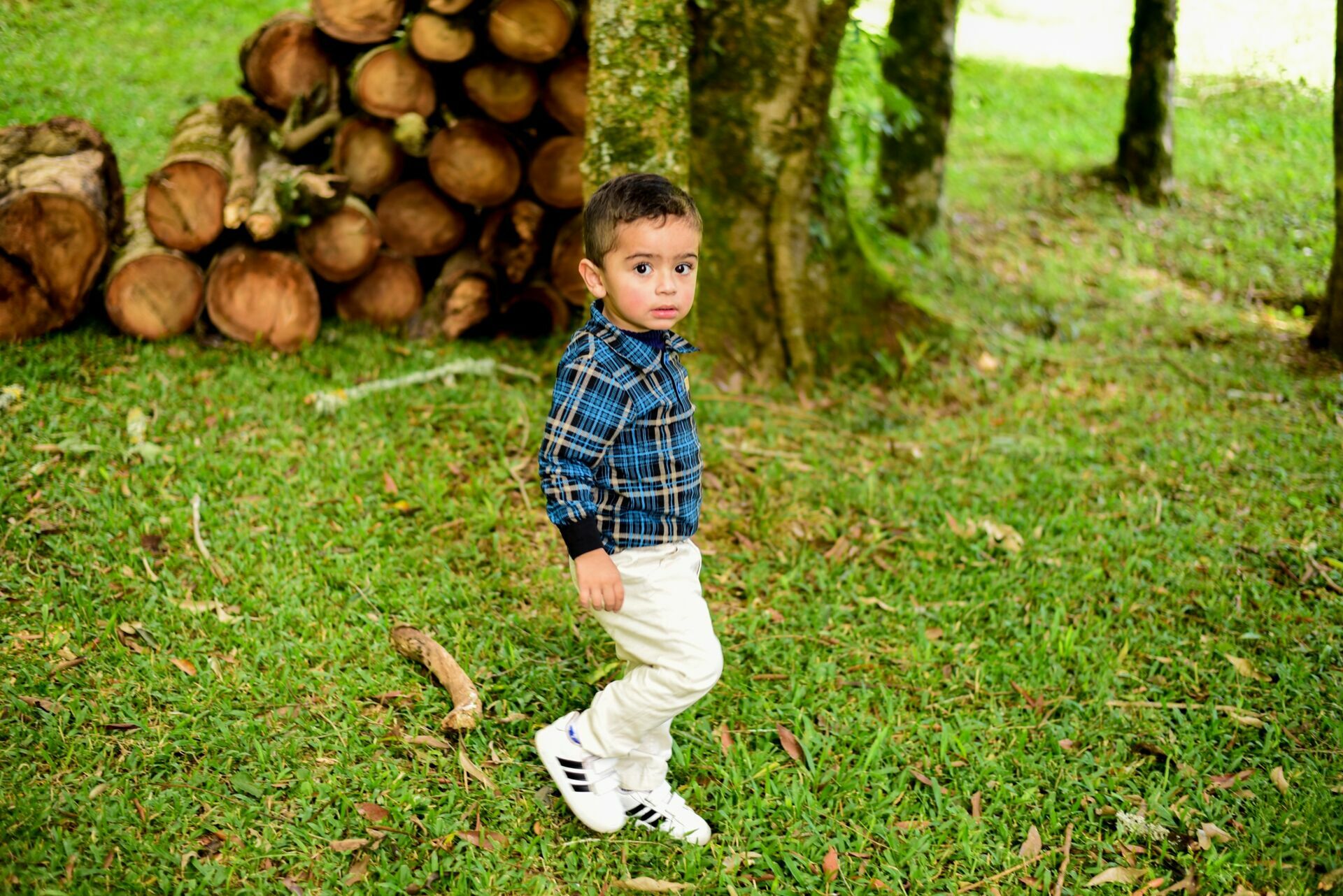 Foto Ensaio Família  - Imagem 4