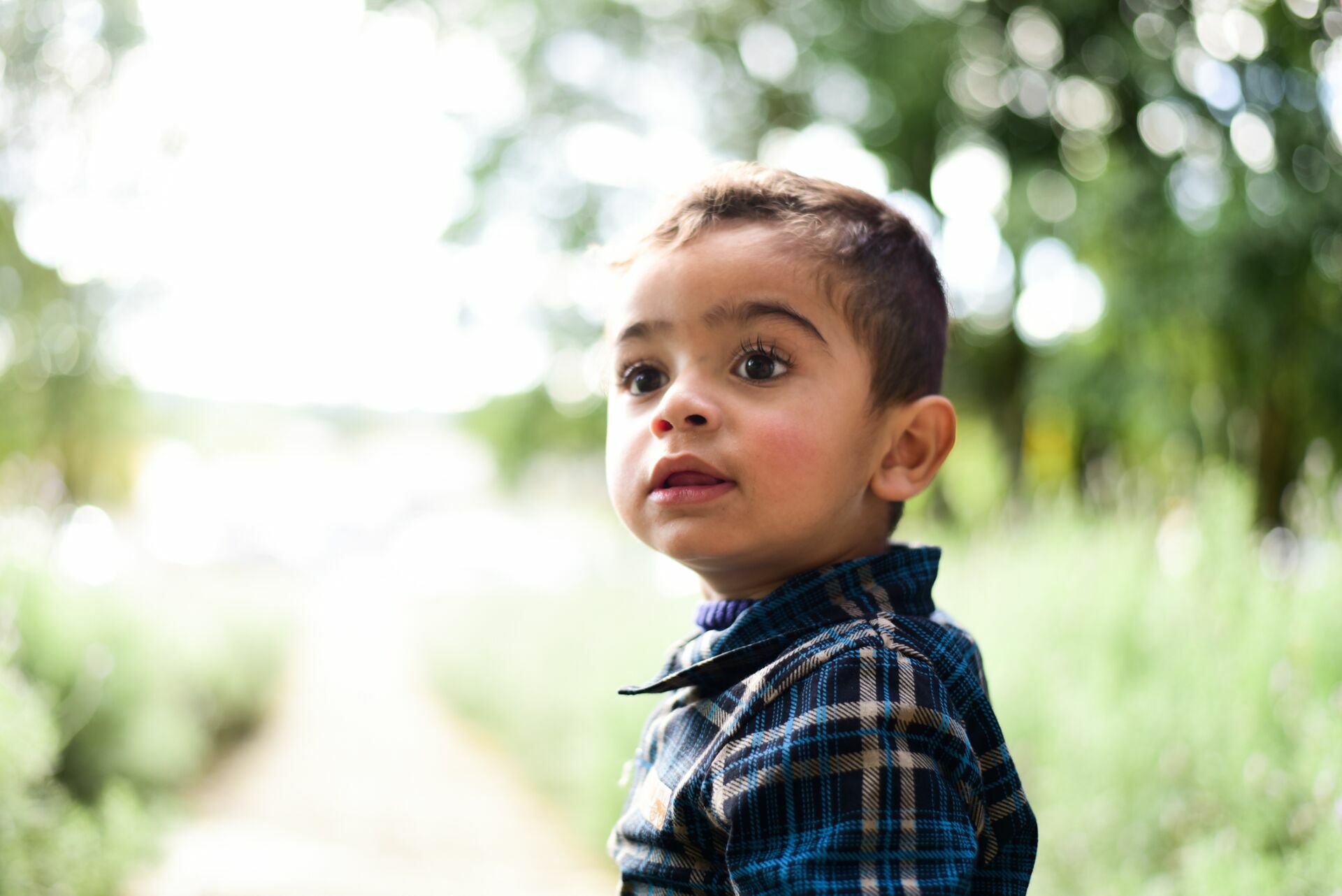 Foto Ensaio Família  - Imagem 0