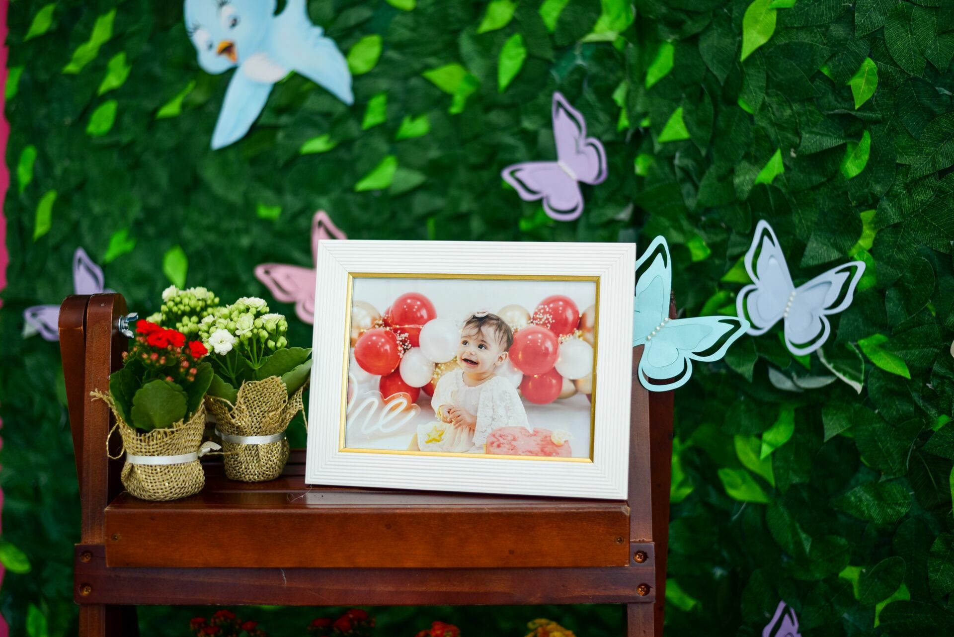 Foto Festa Infantil: Catarina - Imagem 4