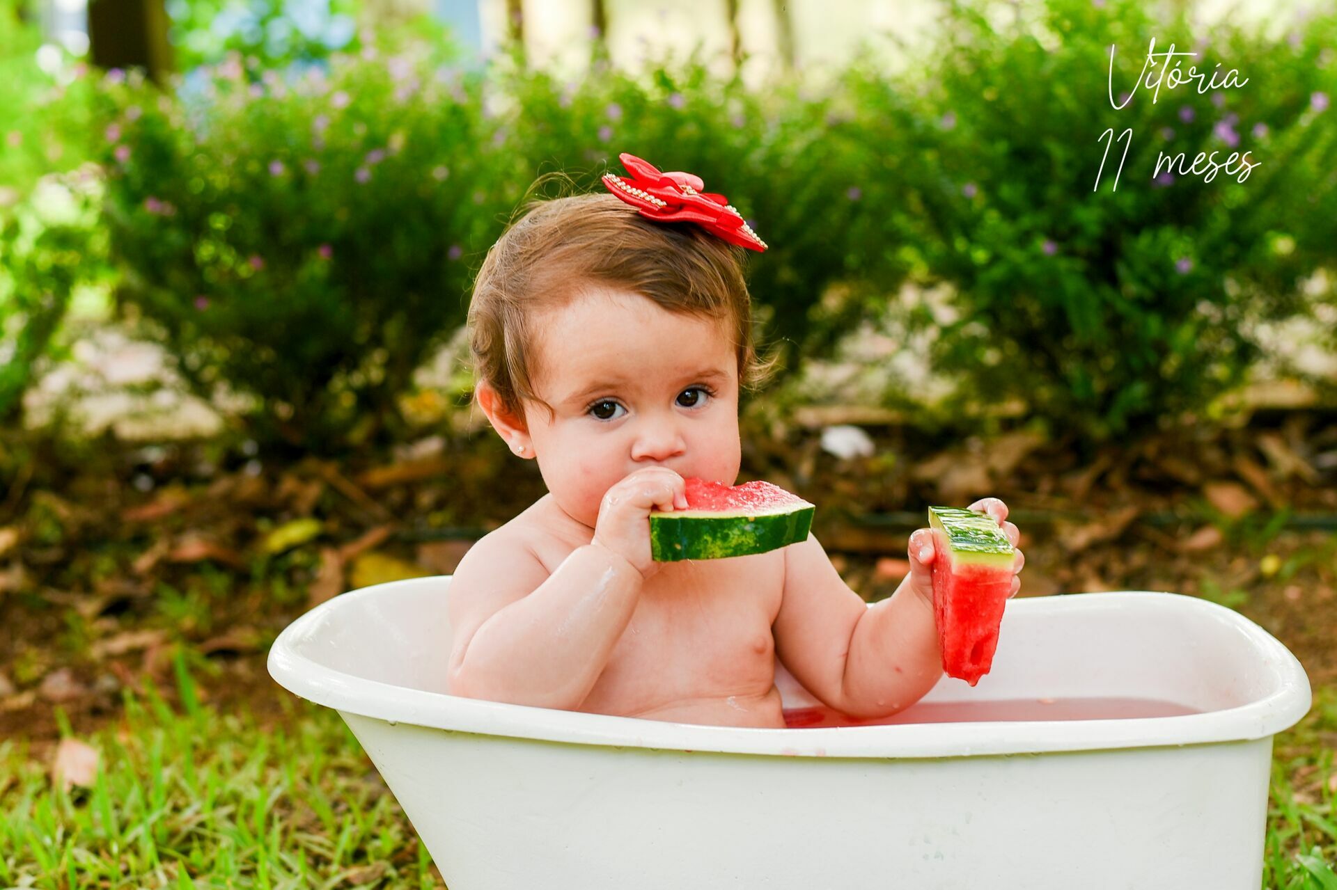 Foto Acompanhamento com frutas - Imagem 2