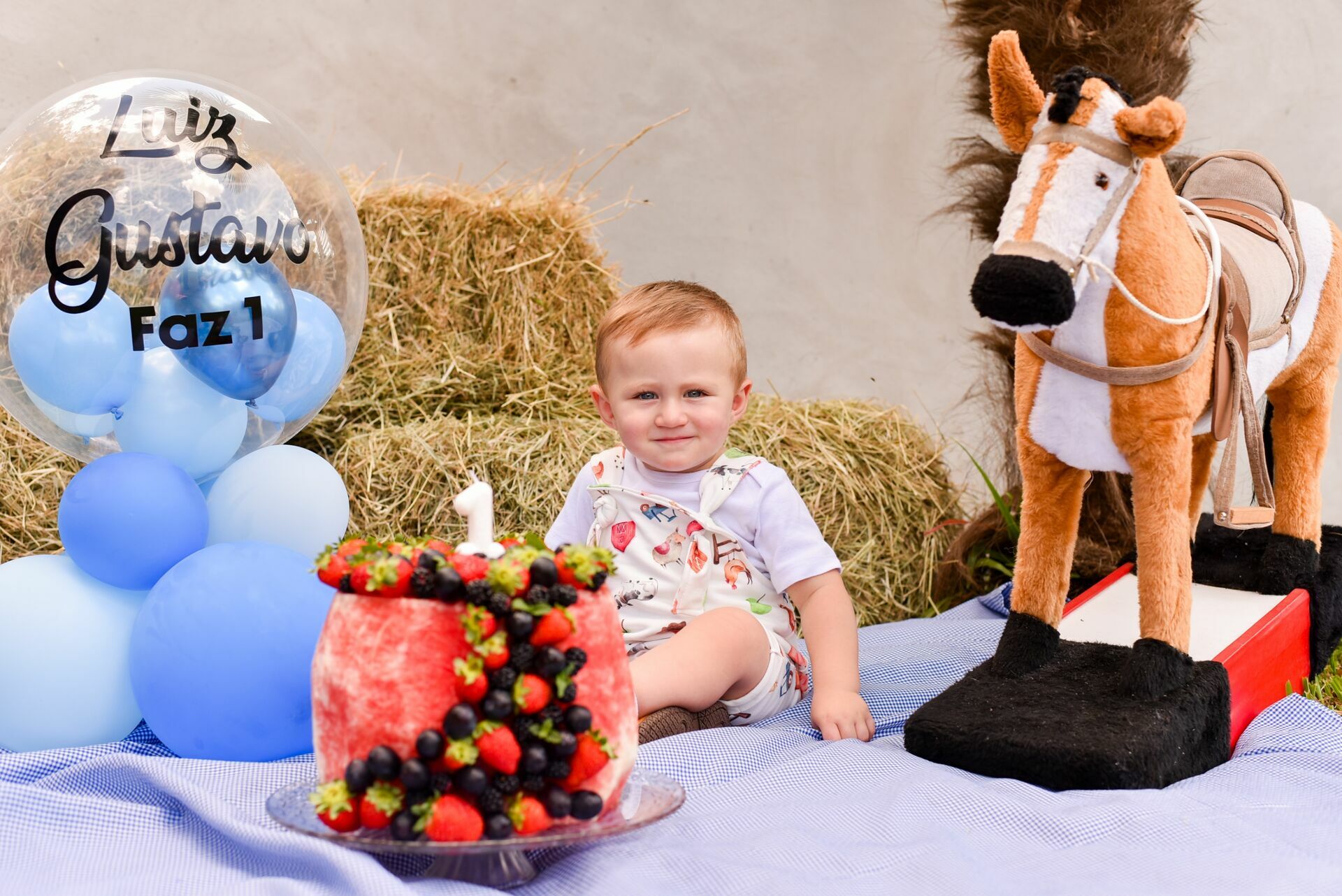 Foto Final de acompanhamento: Luiz Gustavo - Imagem 1