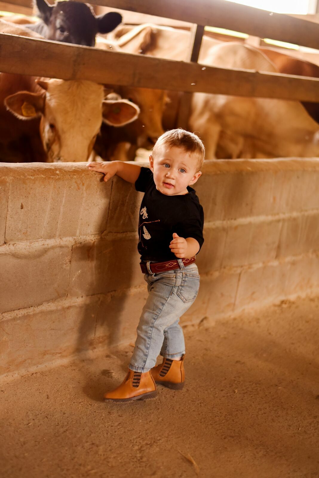 Foto Final de acompanhamento: Luiz Gustavo - Imagem 6