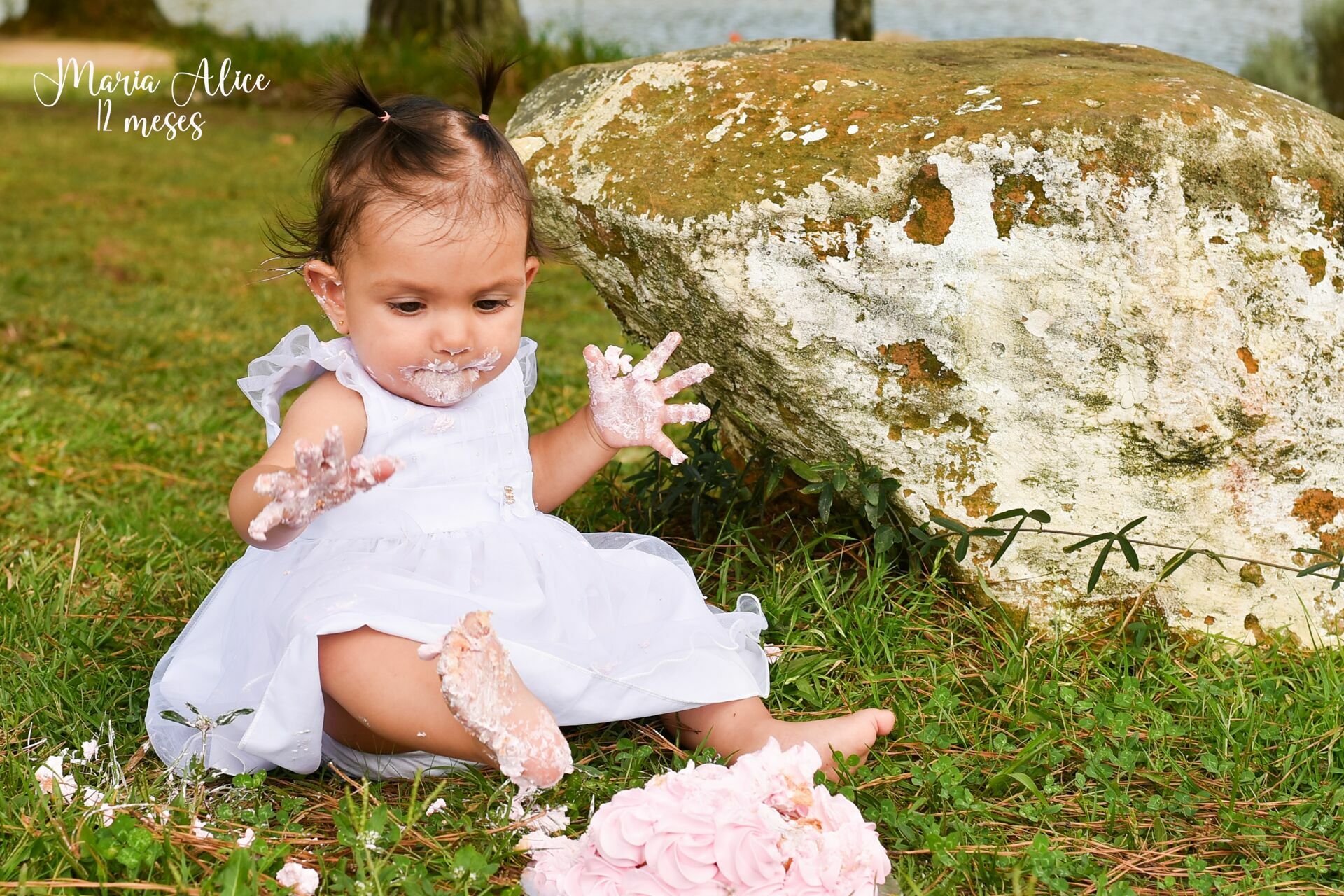 Foto Smash the Cake: Maria Alice - Imagem 6
