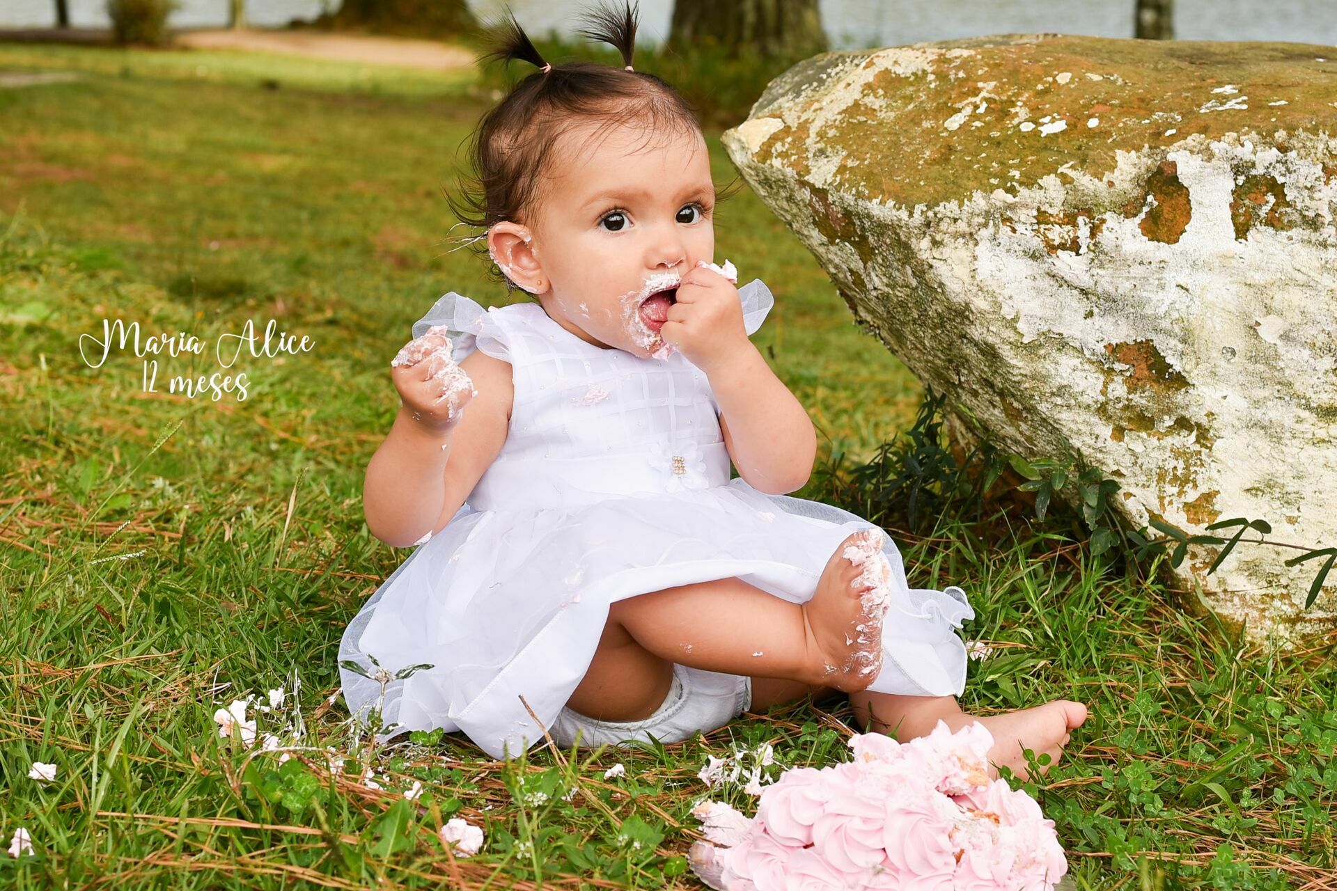 Foto Smash the Cake: Maria Alice - Imagem 5