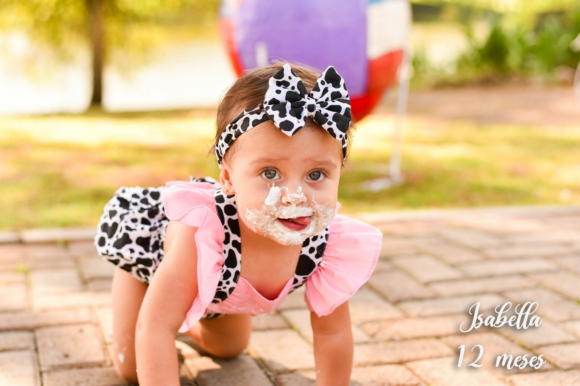 Foto Smash the Cake: Isabella - Imagem 8