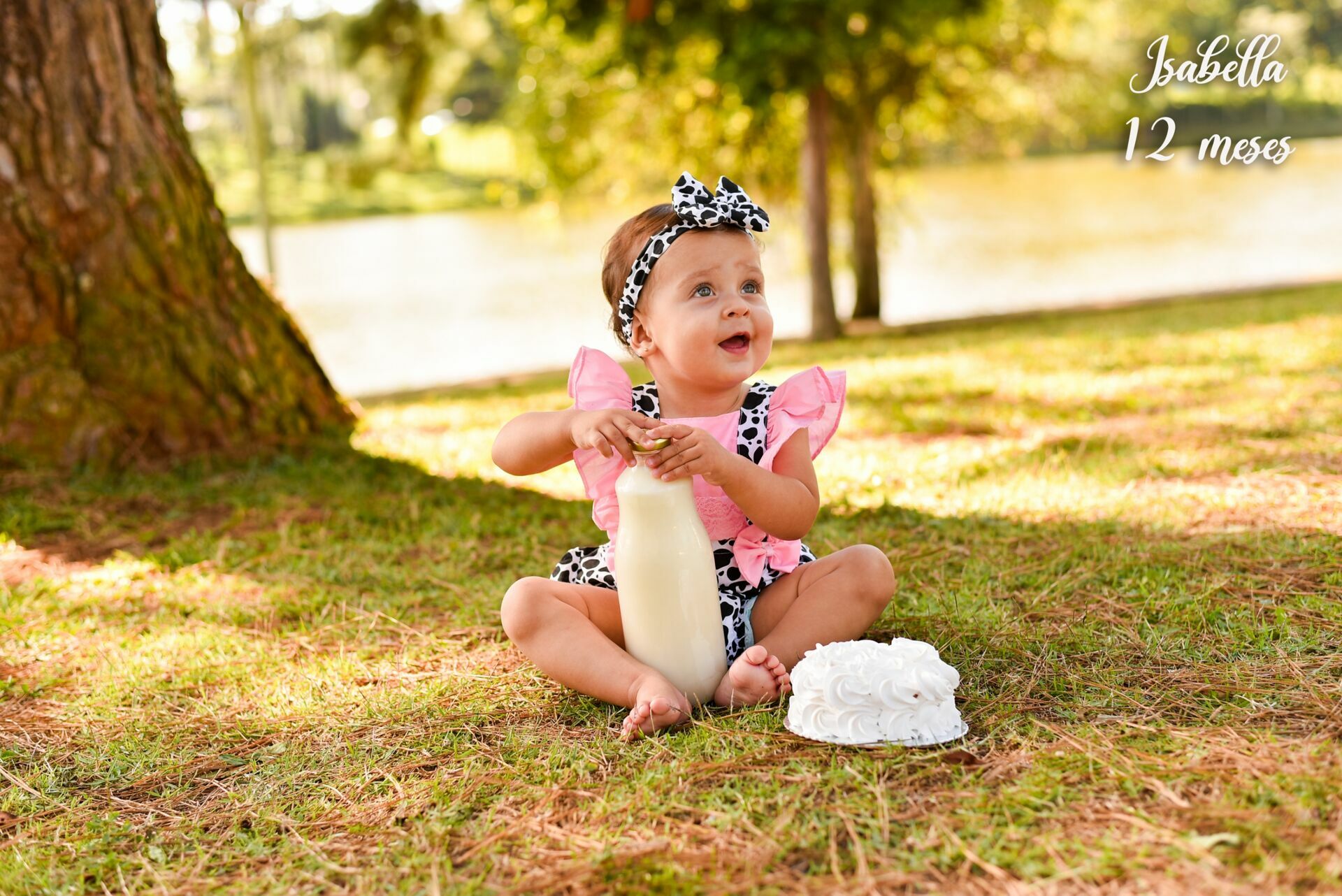 Foto Smash the Cake: Isabella - Imagem 2