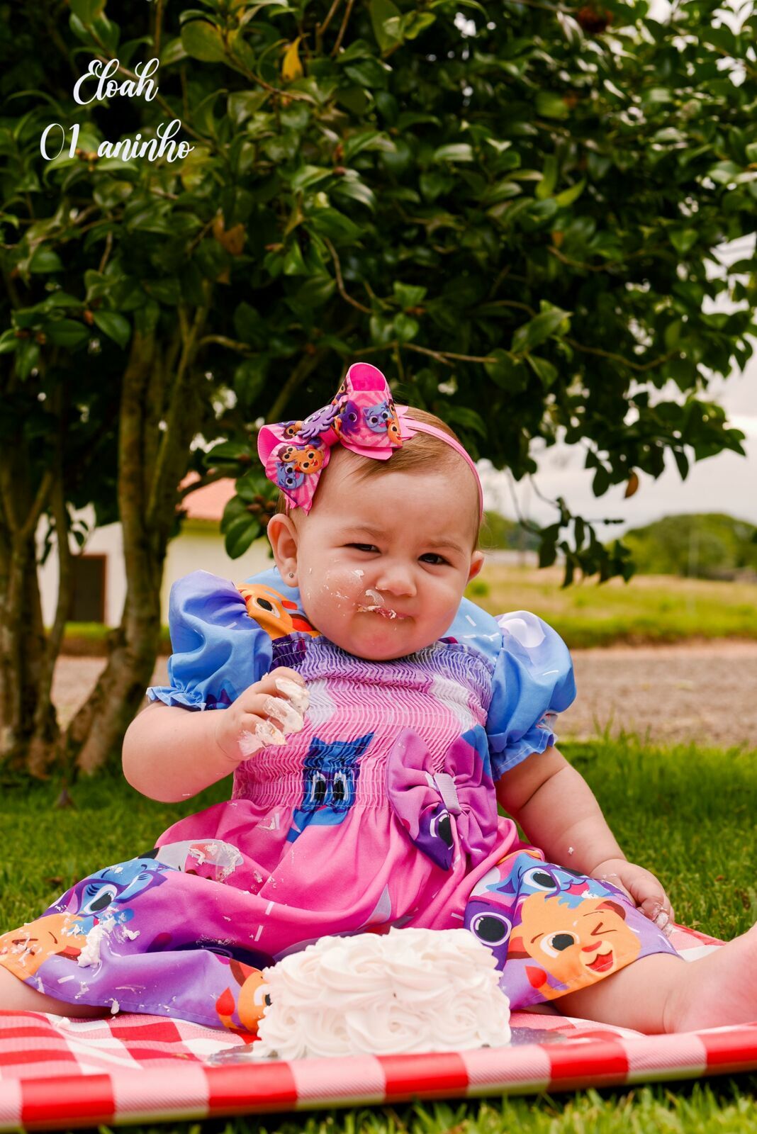 Foto Final de acompanhamento: Eloah - Imagem 4