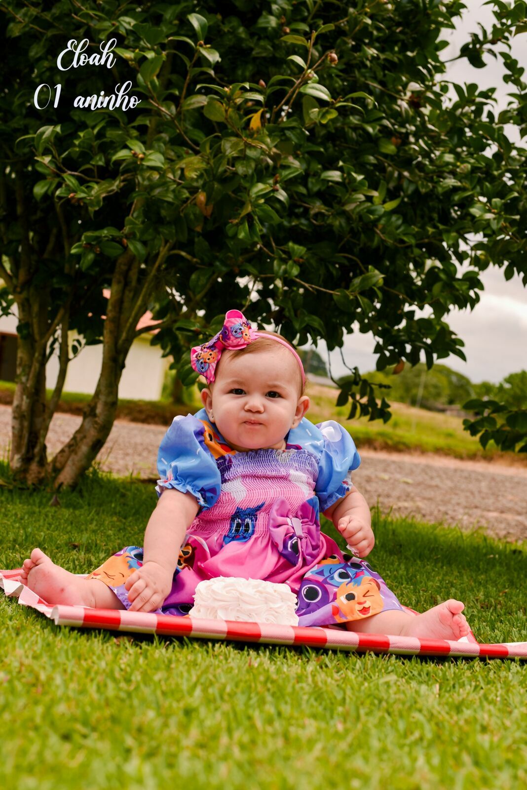 Foto Final de acompanhamento: Eloah - Imagem 3